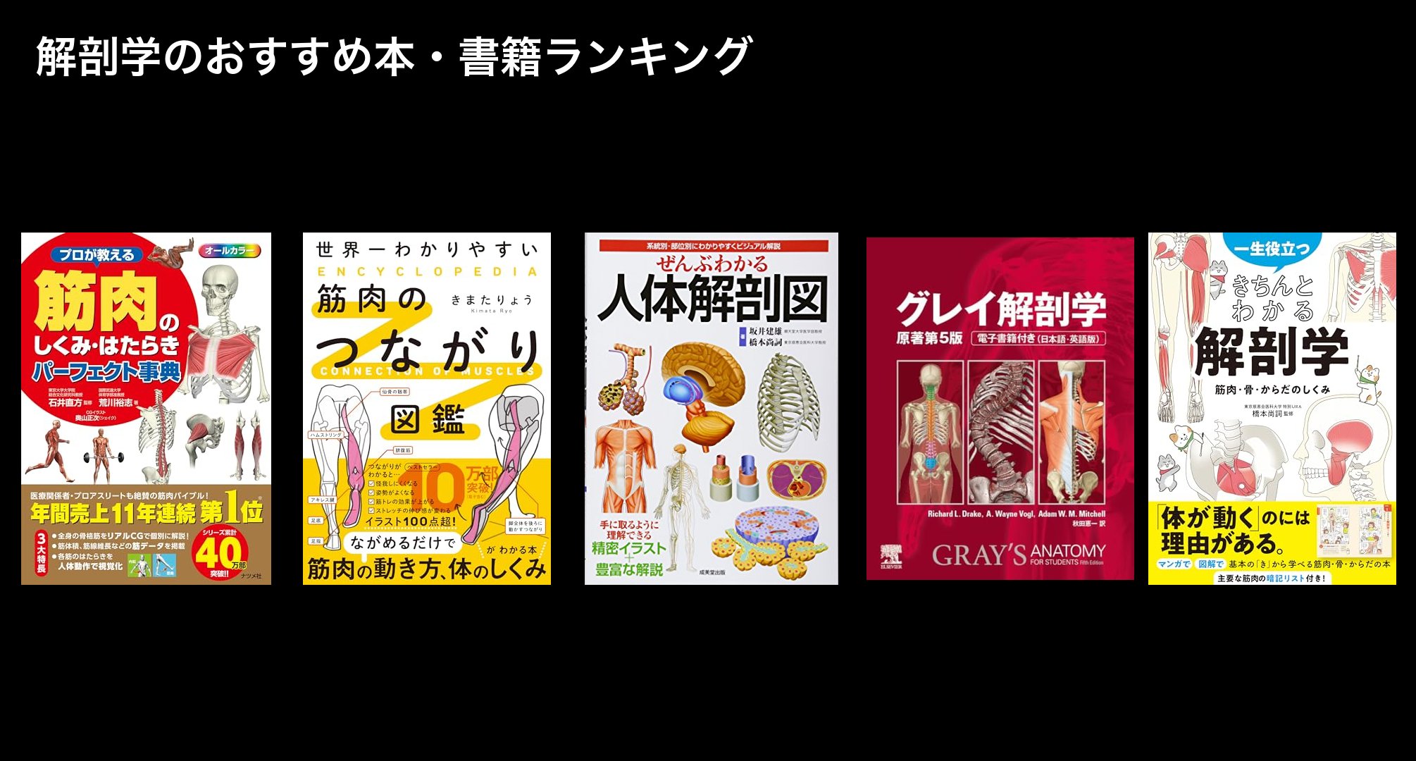 解剖学のおすすめ本・書籍ランキング