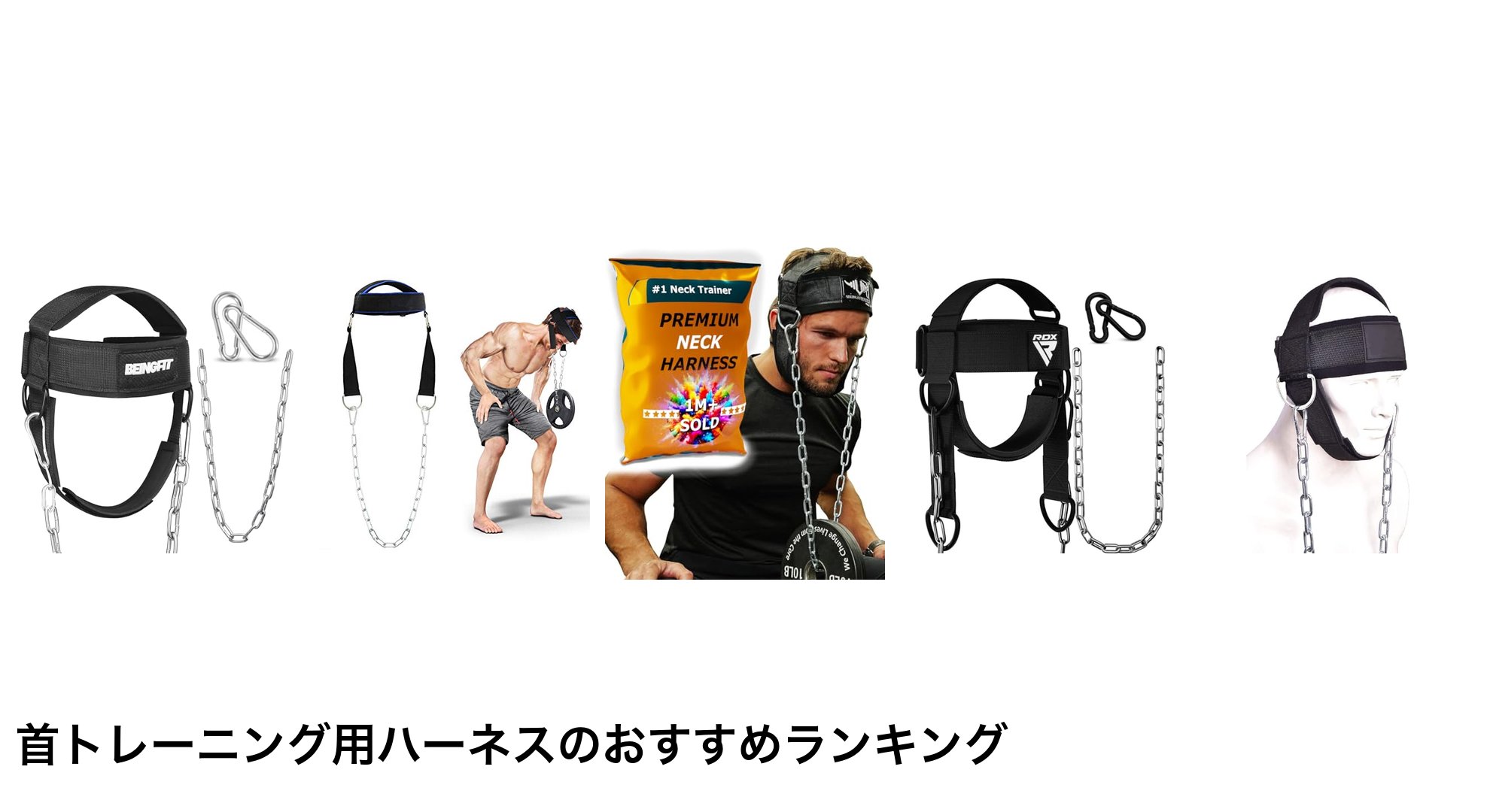 首トレーニング用ハーネスのおすすめランキング