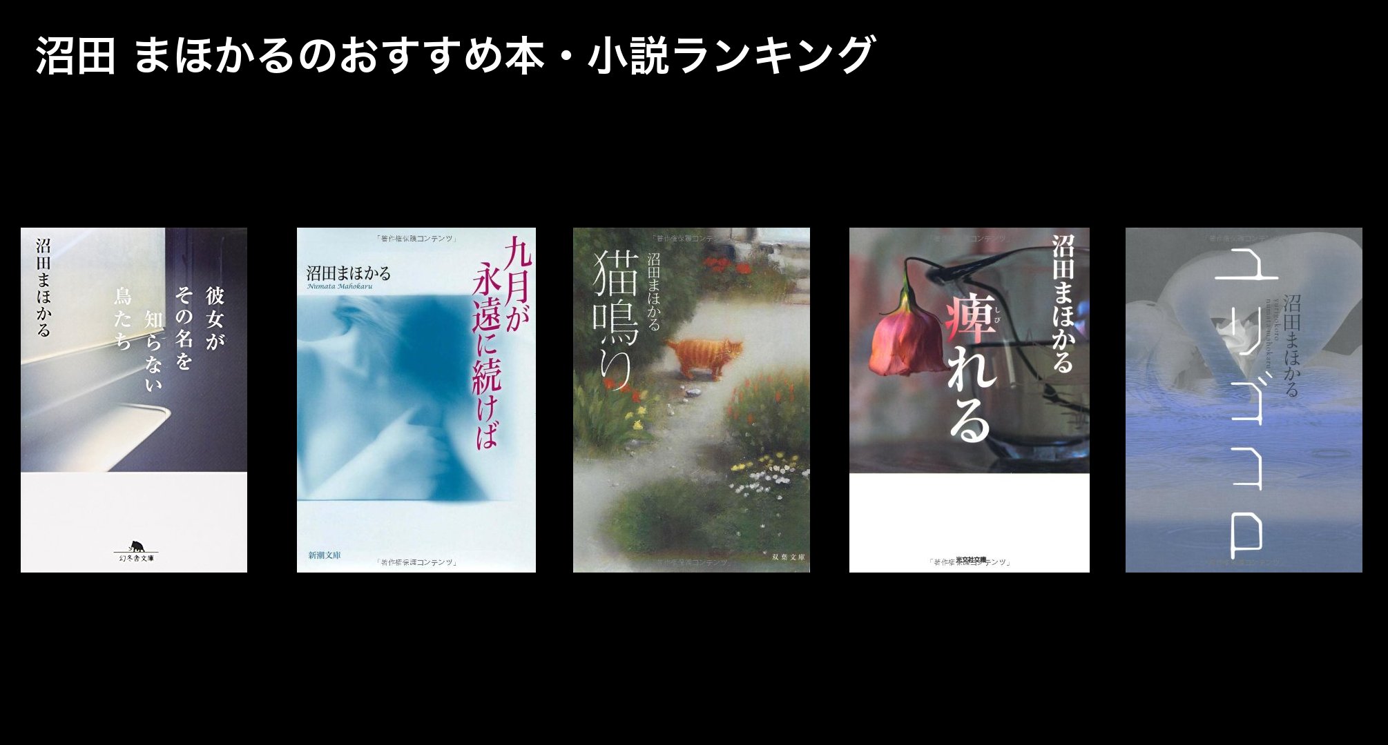 沼田 まほかるのおすすめ本・小説ランキング