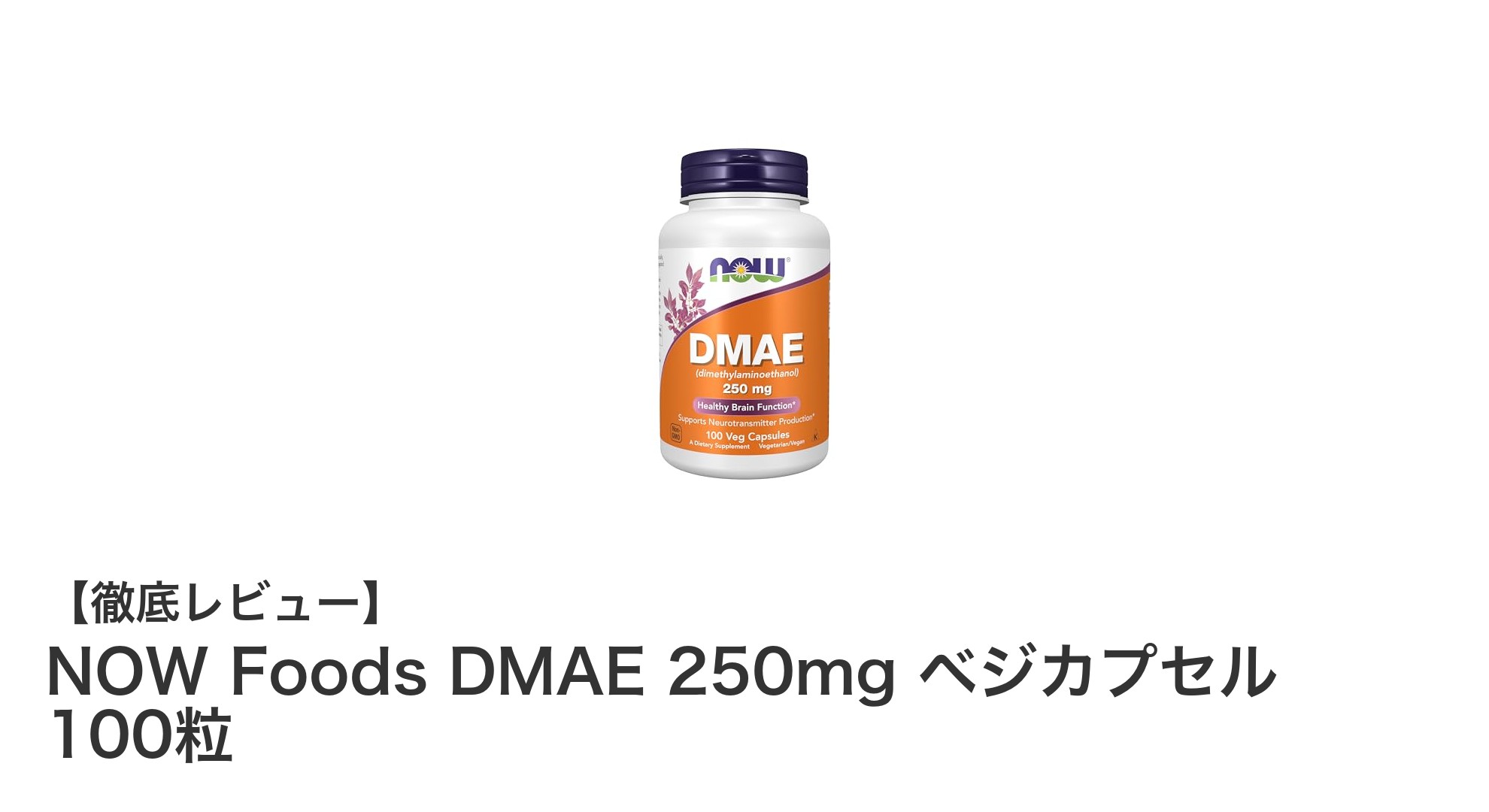 NOW Foods DMAE 250mg ベジカプセルで毎日の健康をサポート！天然成分使用の高品質サプリメント