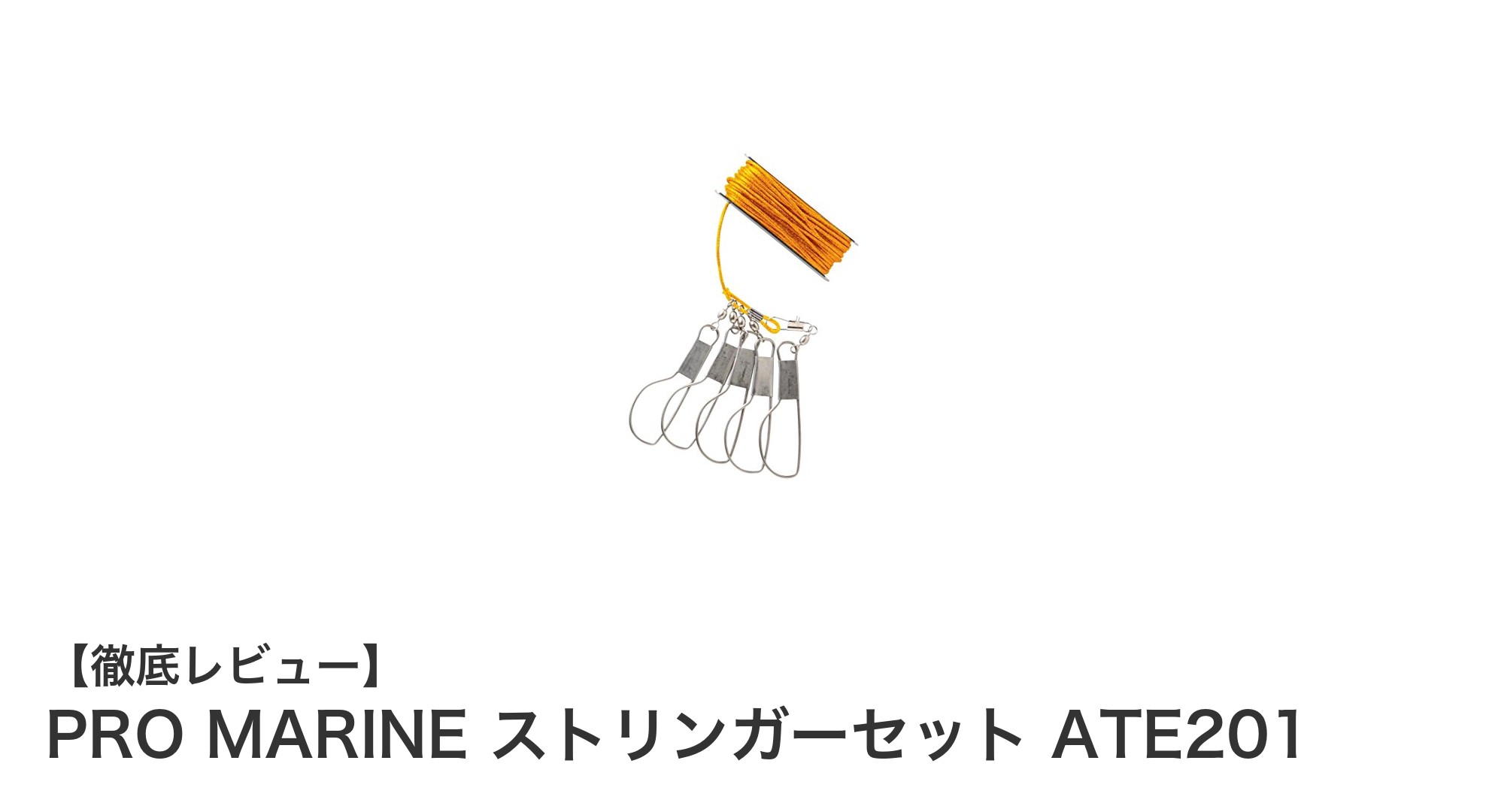 釣り好き必見！PRO MARINEの枠付きストリンガーセットATE201で魚のキープが簡単に