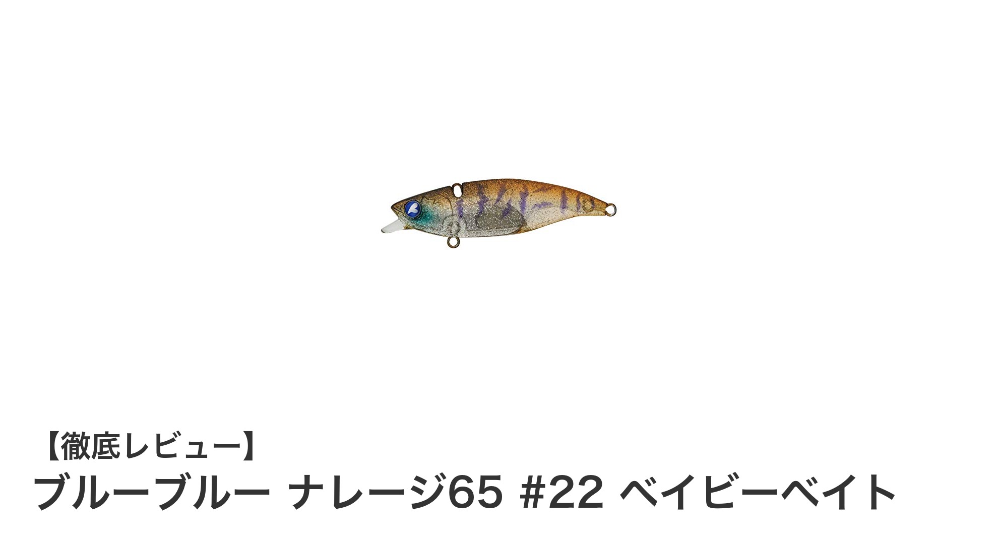 多彩な魚種に対応！ブルーブルー ナレージ65 #22 ベイビーベイトの魅力を徹底解説