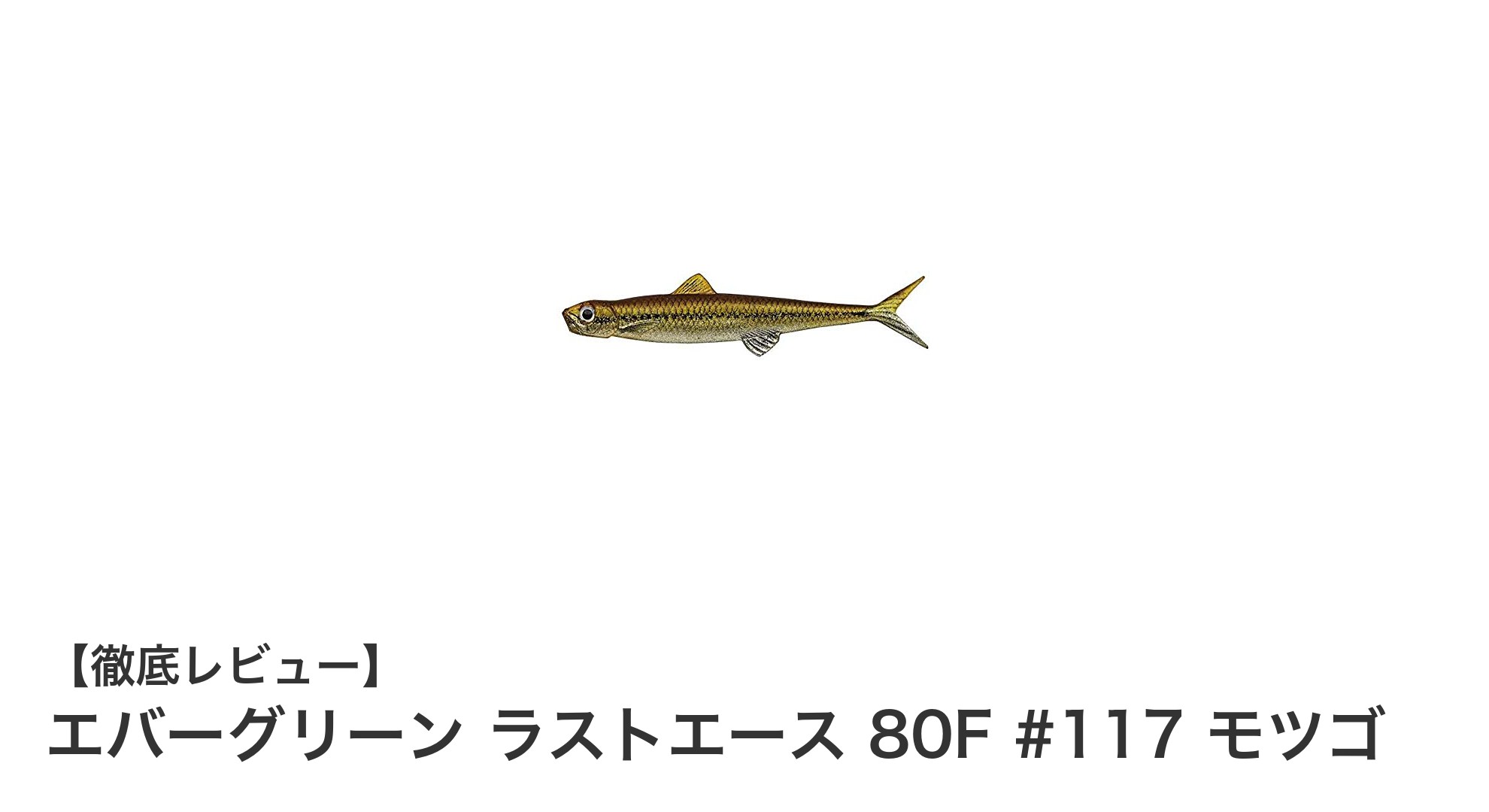 エバーグリーン ラストエース 80F #117 モツゴで狙う！精密フローティングルアーの新定番