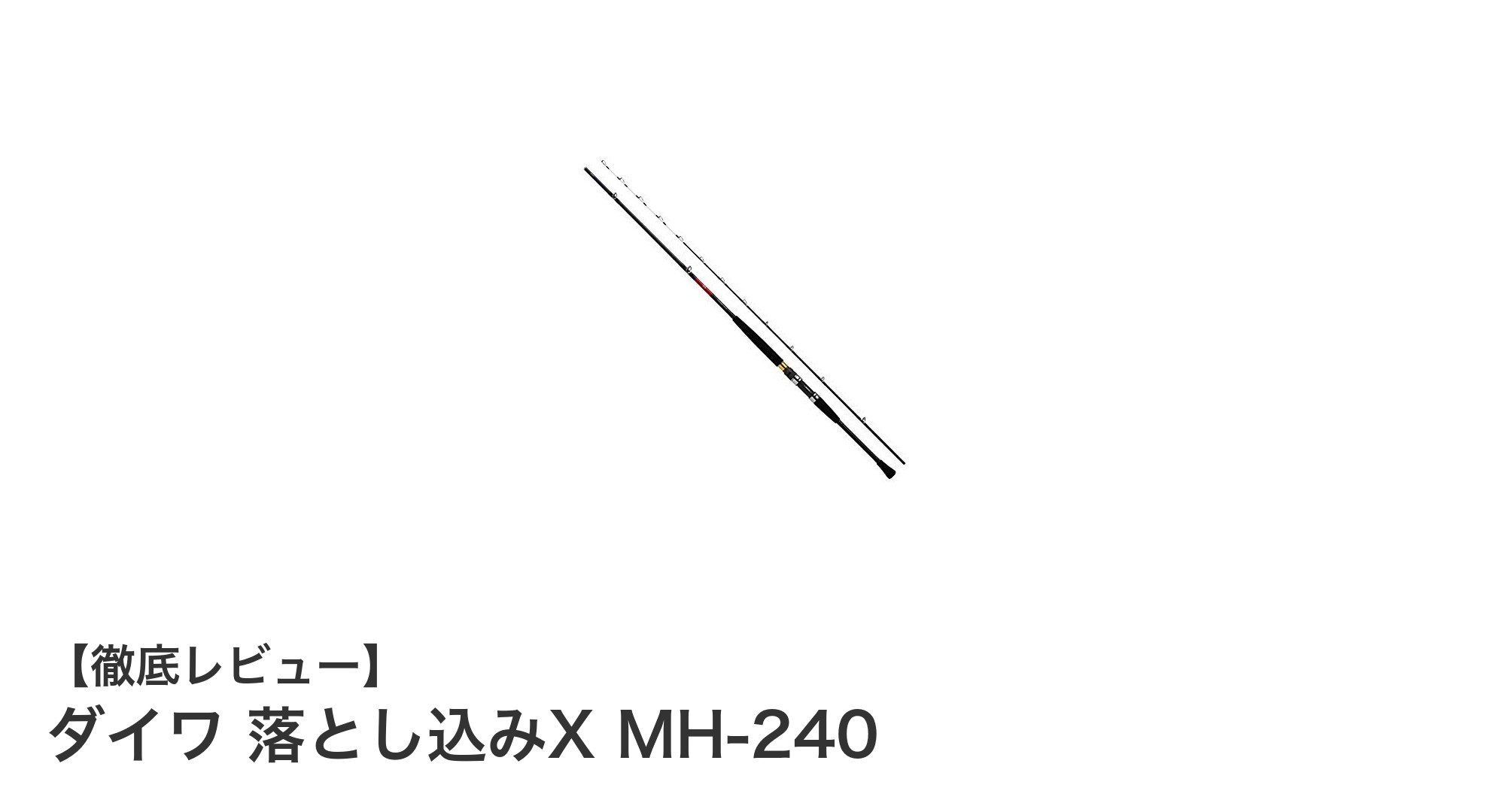 初心者にも扱いやすい！ダイワ 落とし込みX MH-240の魅力に迫る
