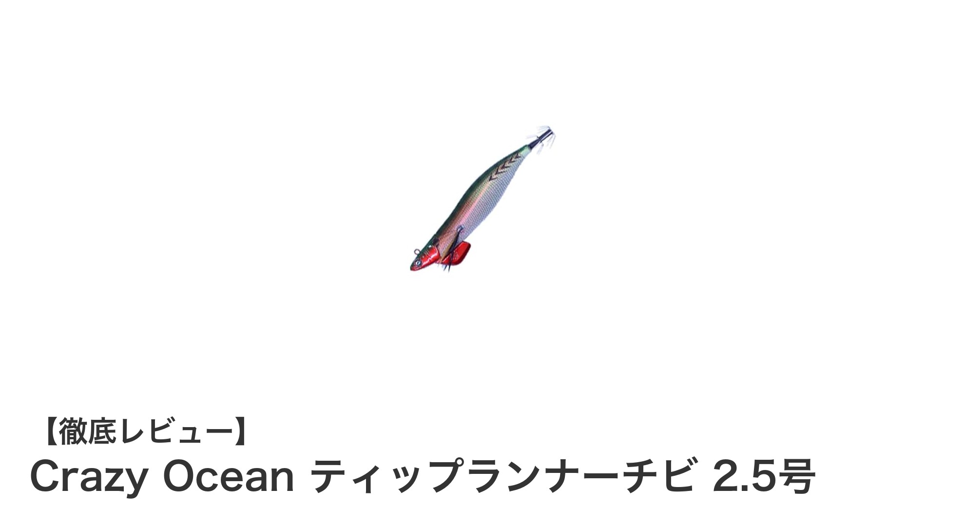 Crazy Oceanのティップランナーチビ 2.5号で狙う繊細な釣りの世界