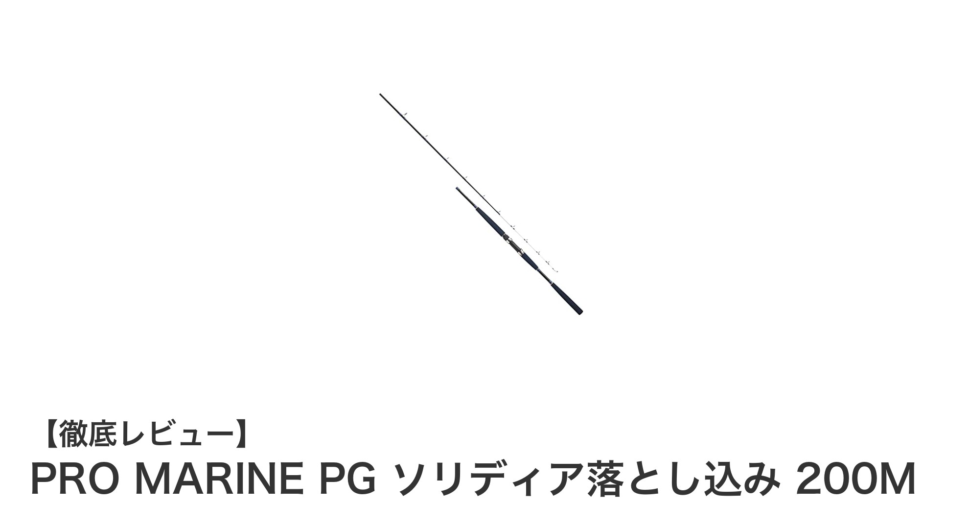 初心者に最適!PRO MARINE PG ソリディア落とし込み 200Mで始める落とし込み釣りの魅力