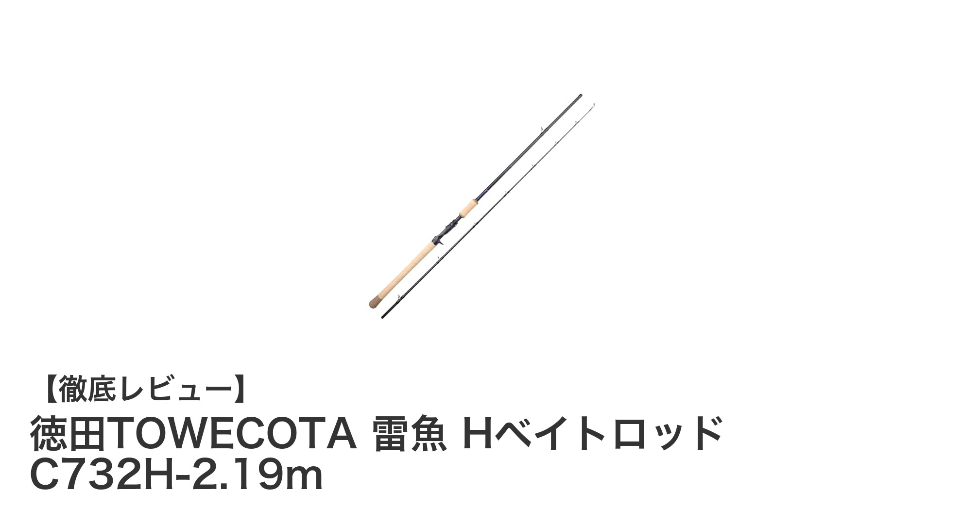 徳田TOWECOTA 雷魚 Hベイトロッド C732H-2.19mで狙う究極の雷魚ゲーム