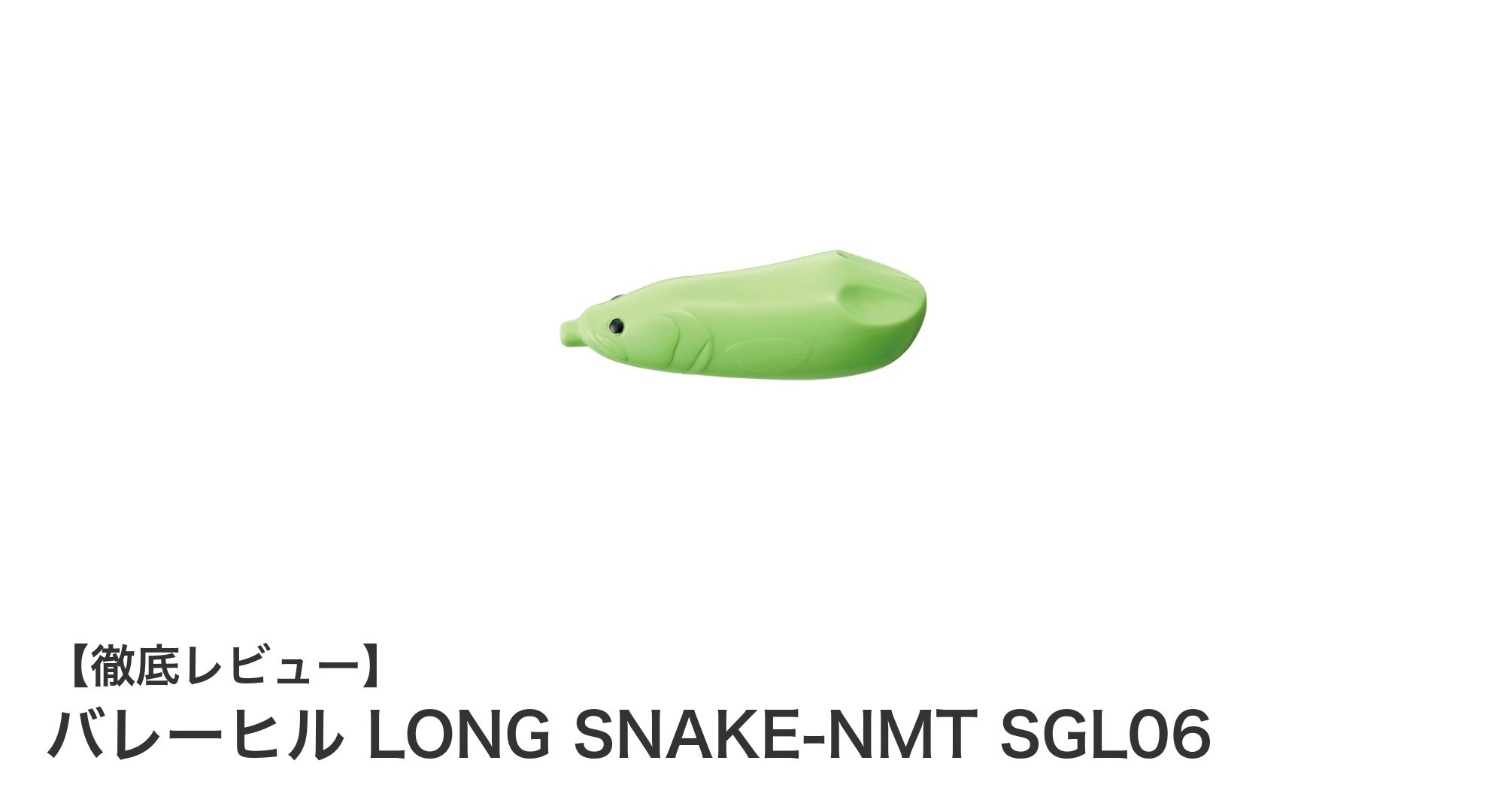 バレーヒル LONG SNAKE-NMT SGL06で狙う多彩なアクションと高い釣果