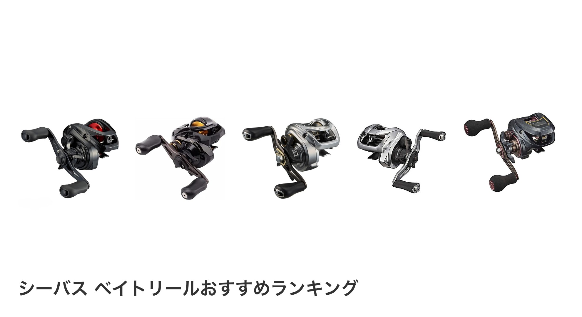 シーバス ベイトリールのおすすめランキング