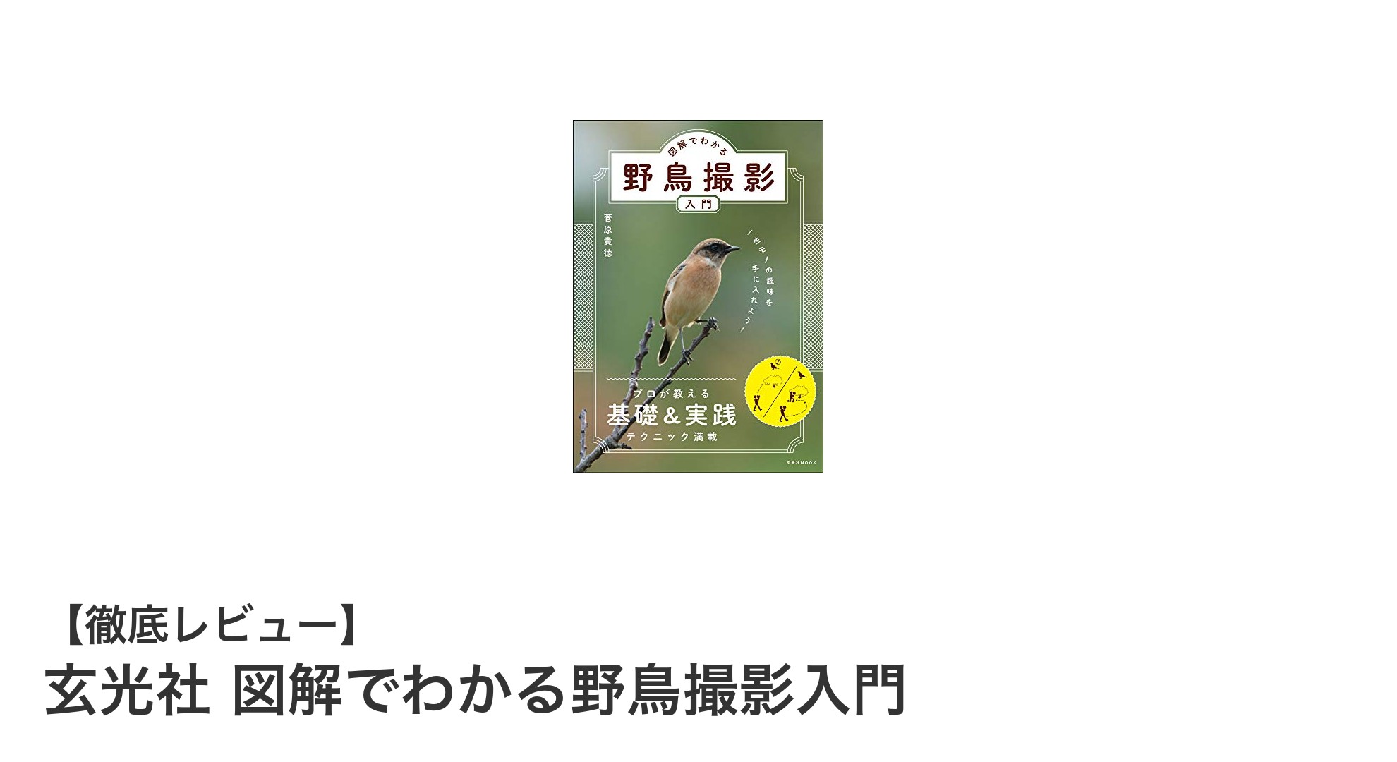 初心者必見!玄光社の図解でわかる野鳥撮影入門で自然の美しさを捉えよう