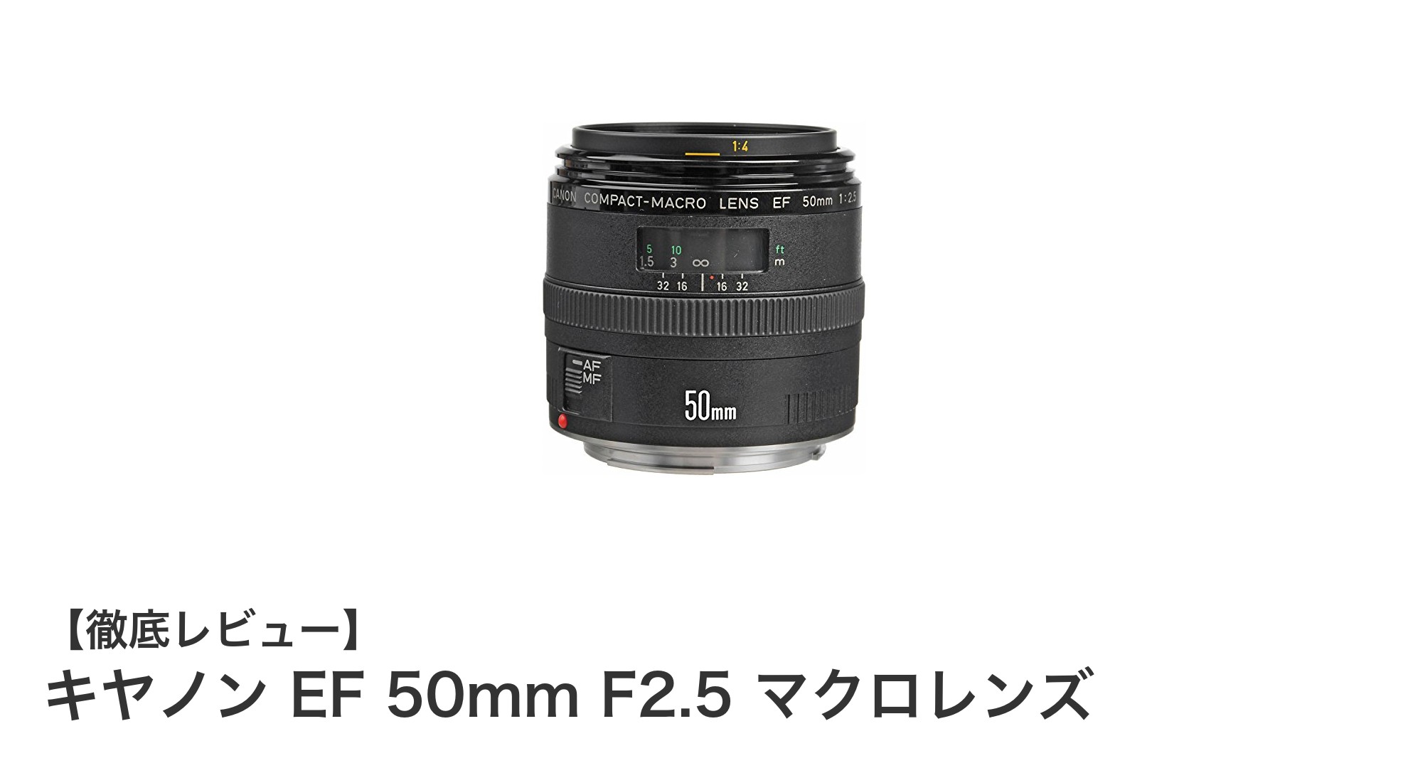 コンパクトで高性能！キヤノン EF 50mm F2.5 マクロレンズの魅力徹底解説