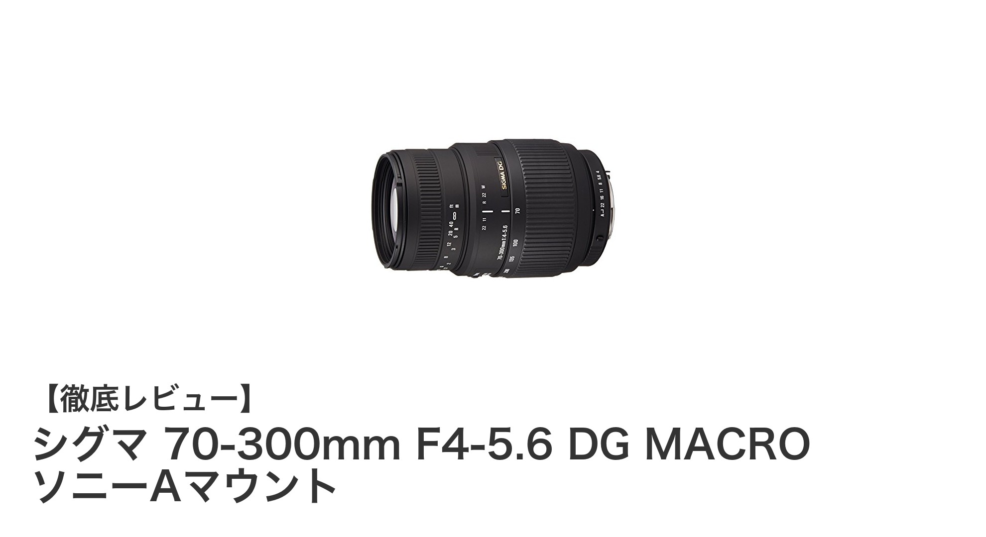 シグマ 70-300mm F4-5.6 DG MACRO ソニーAマウントで広がる撮影の可能性