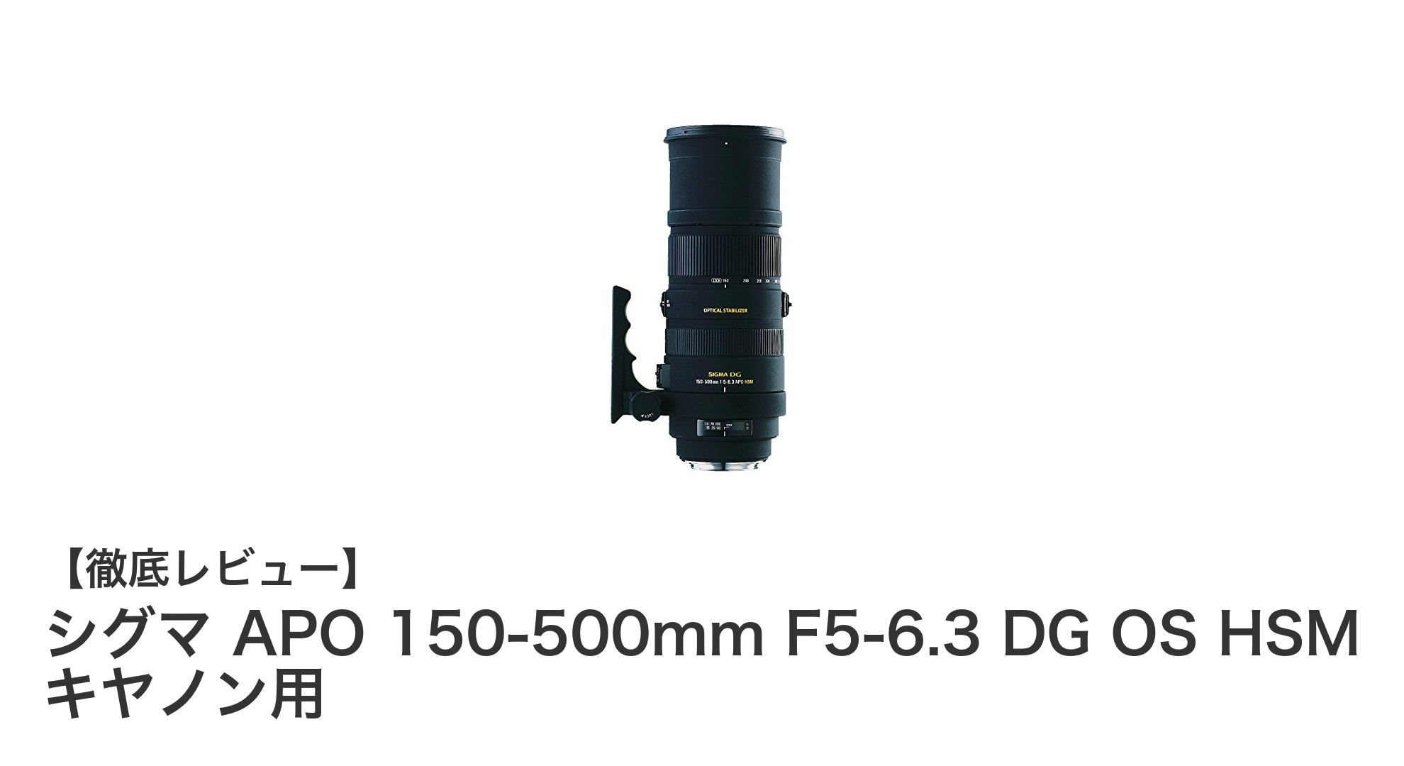 シグマ APO 150-500mm F5-6.3 DG OS HSM キヤノン用:超望遠撮影の新定番レンズ登場!
