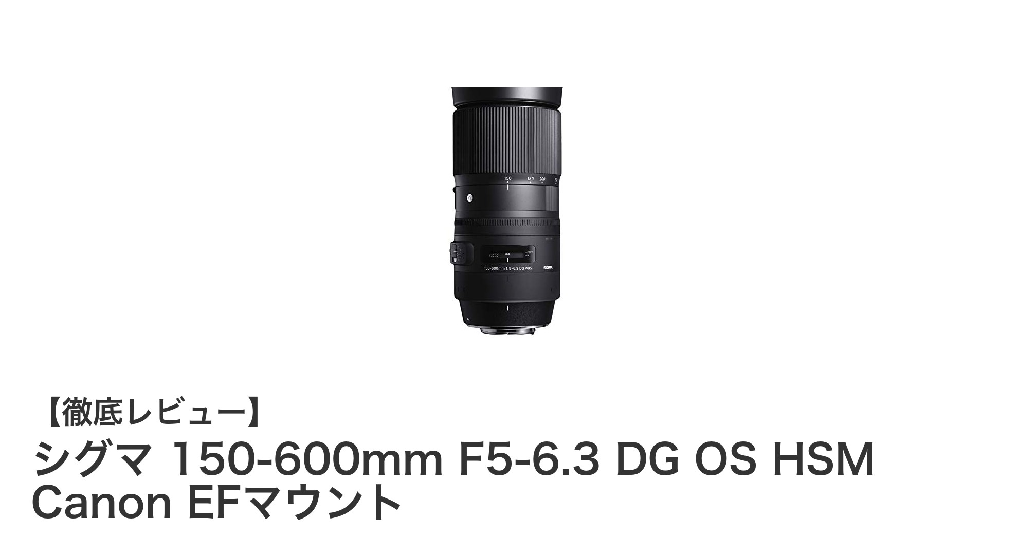シグマ 150-600mm F5-6.3 DG OS HSM Canon EFマウント:超望遠撮影の最適解レンズ