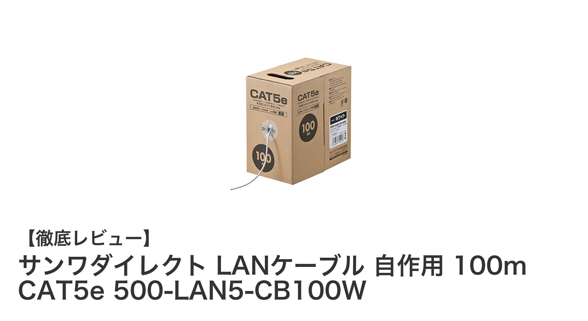 自作派に最適!サンワダイレクトの100m CAT5e LANケーブルで高速通信を実現