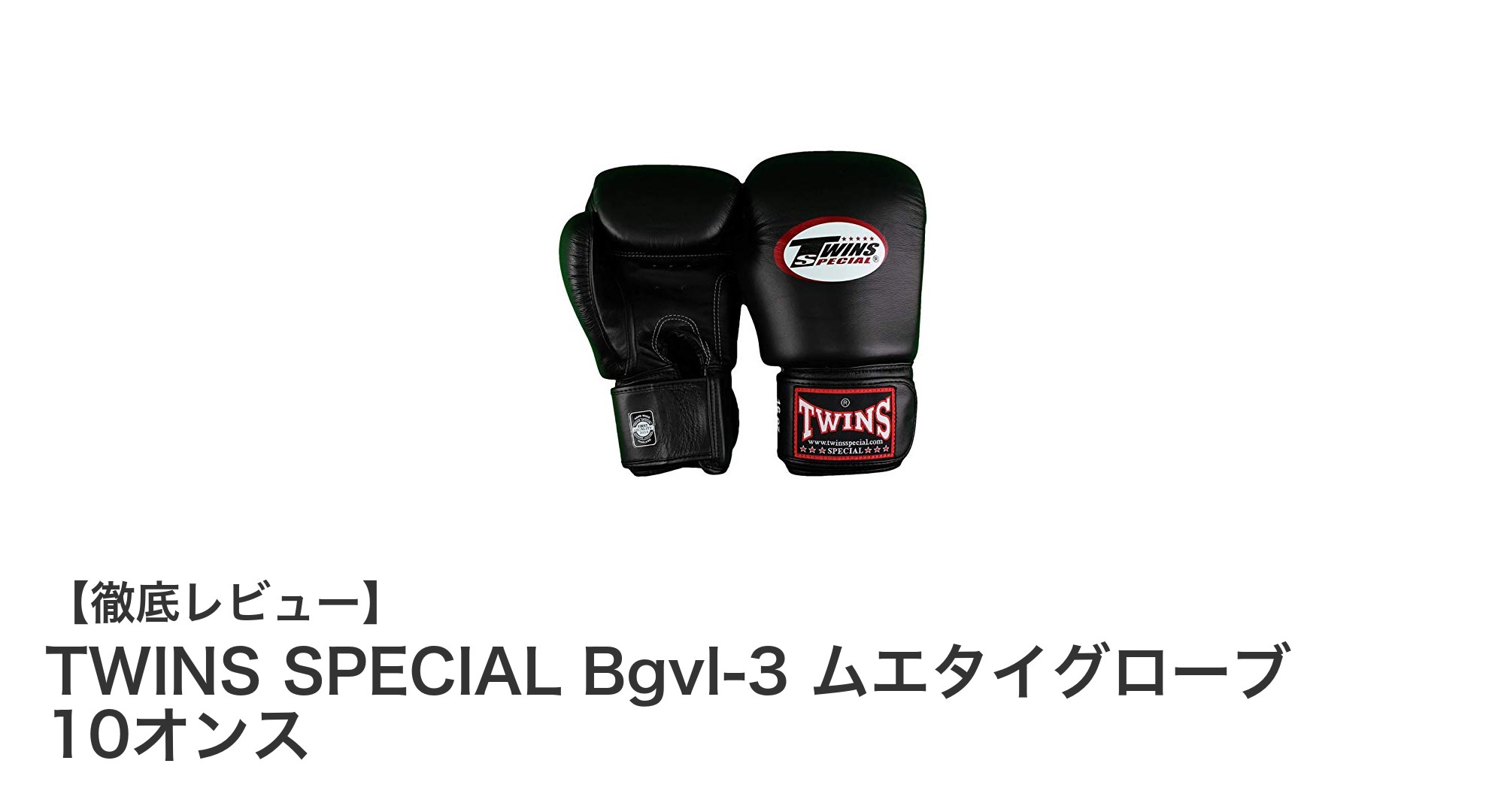TWINS SPECIAL Bgvl-3 ムエタイグローブ 10オンスで極める本格ムエタイ体験