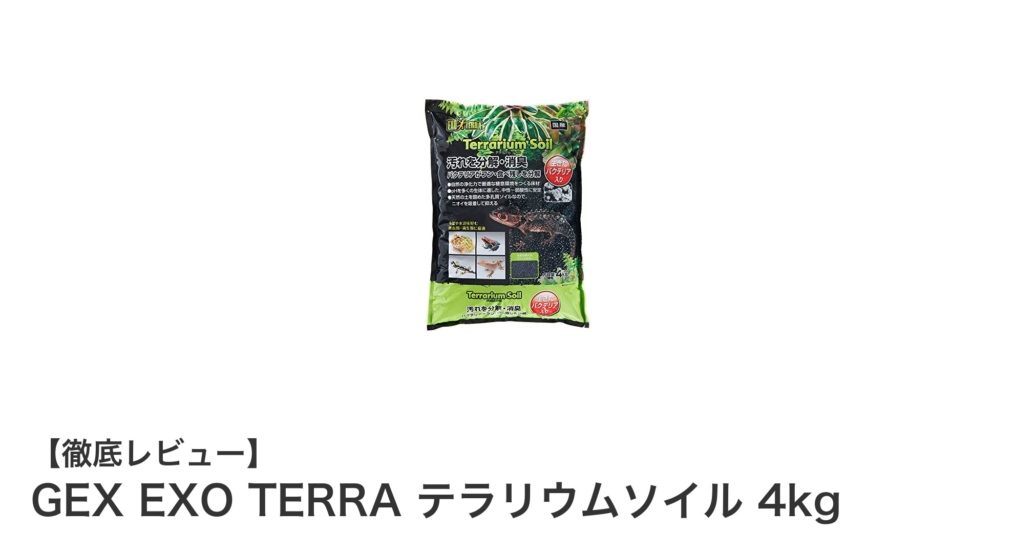 自然環境を再現するGEX EXO TERRAテラリウムソイルの魅力と効果とは?