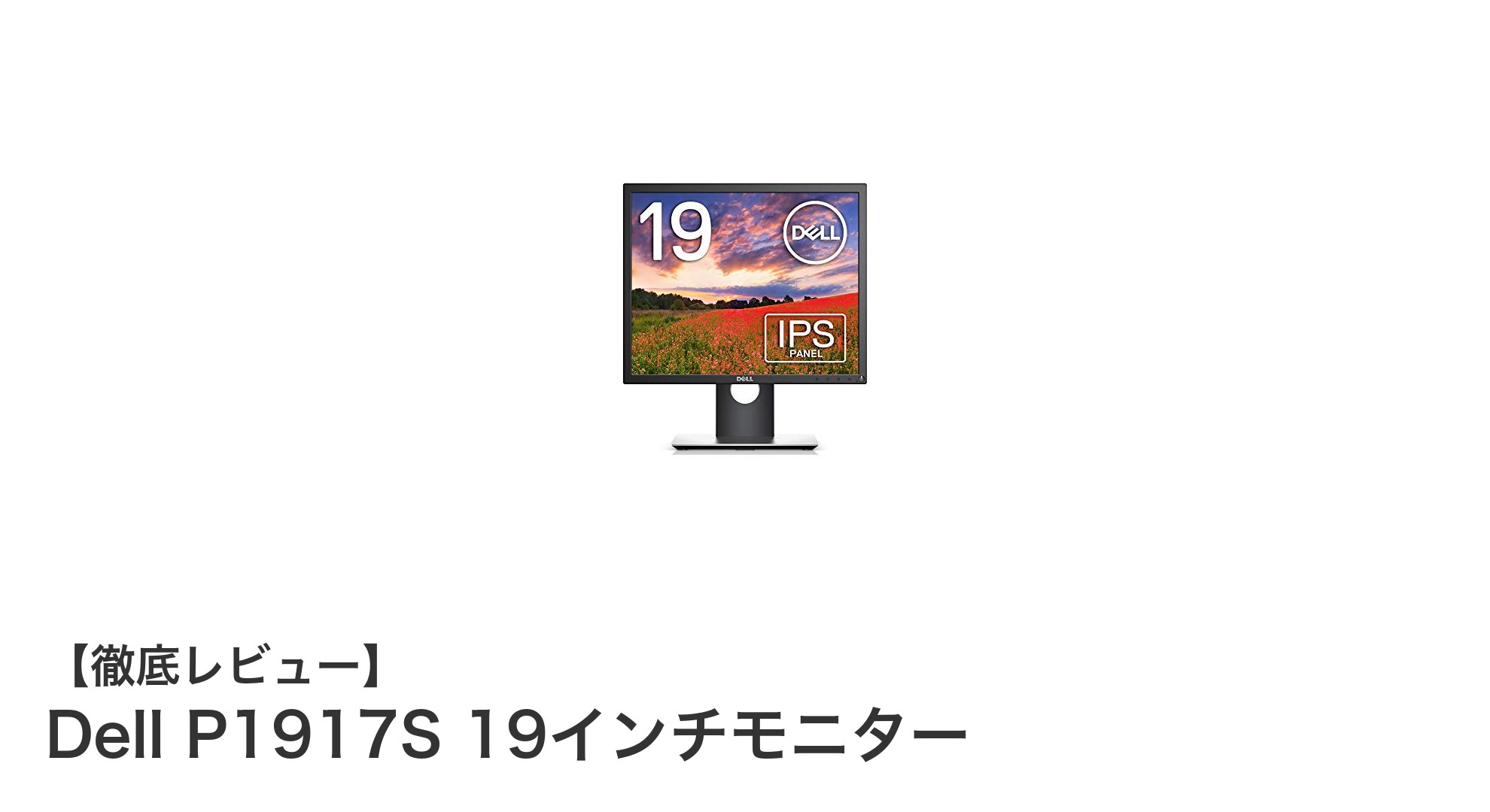 Dell P1917S 19インチモニター:快適作業を実現するIPS非光沢パネルと3年無輝点保証付きモデル