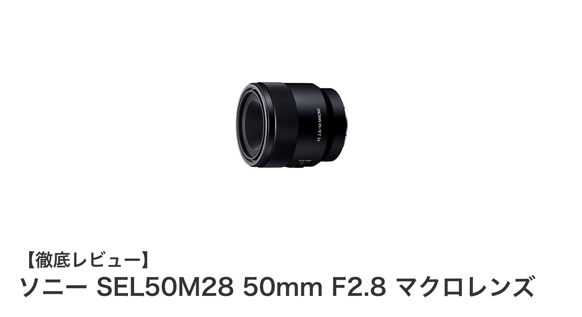 ソニー SEL50M28 50mm F2.8 マクロレンズで捉える世界の細部美