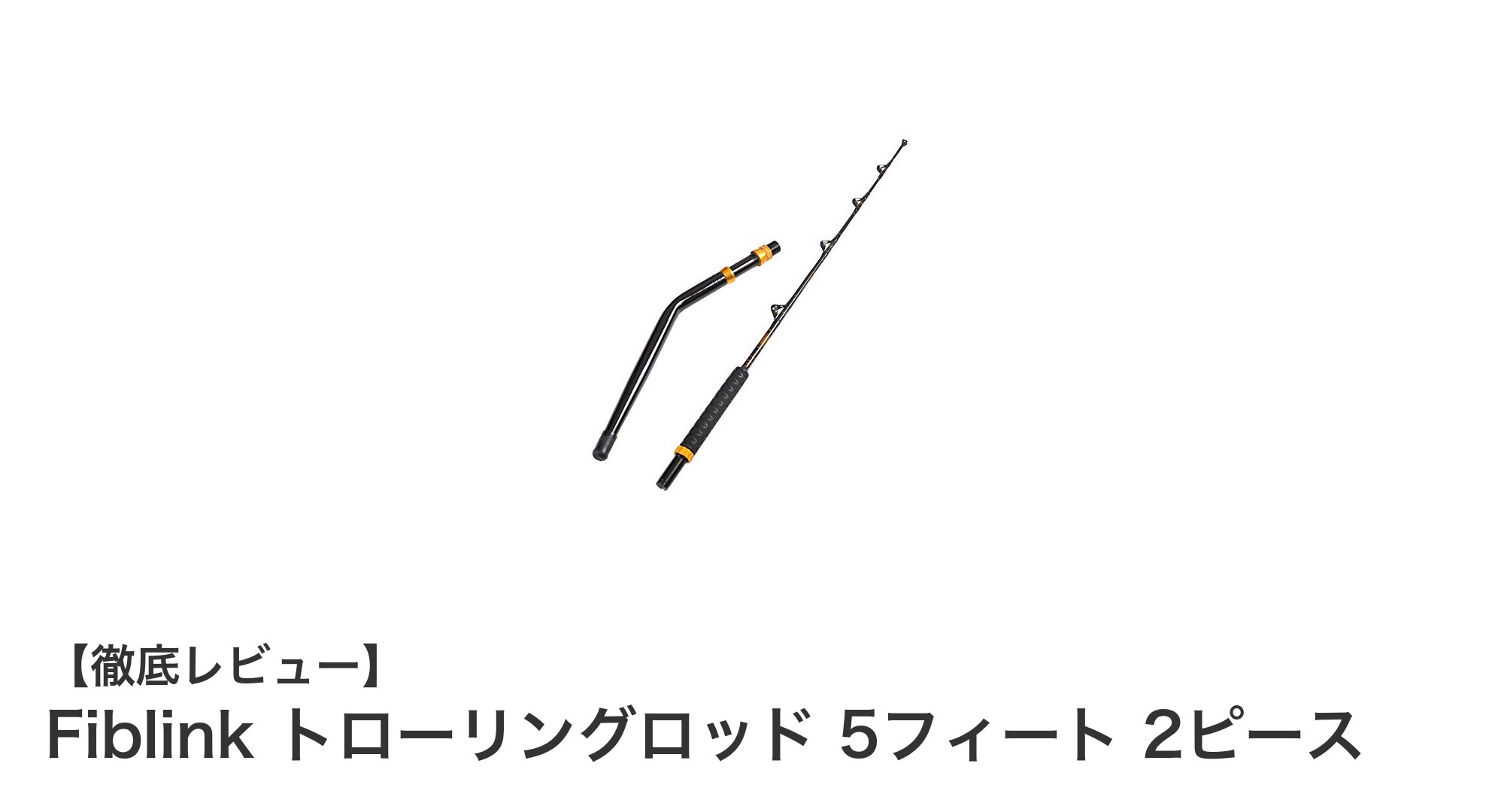 耐腐食性抜群!Fiblinkの5フィート2ピーストローリングロッドで海水ビッグゲームを制覇