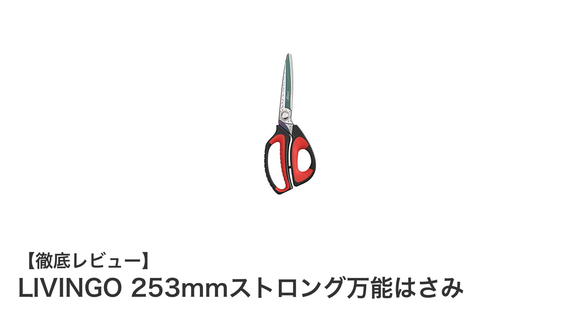 LIVINGO 253mmストロング万能はさみで切る力の新境地を体感！
