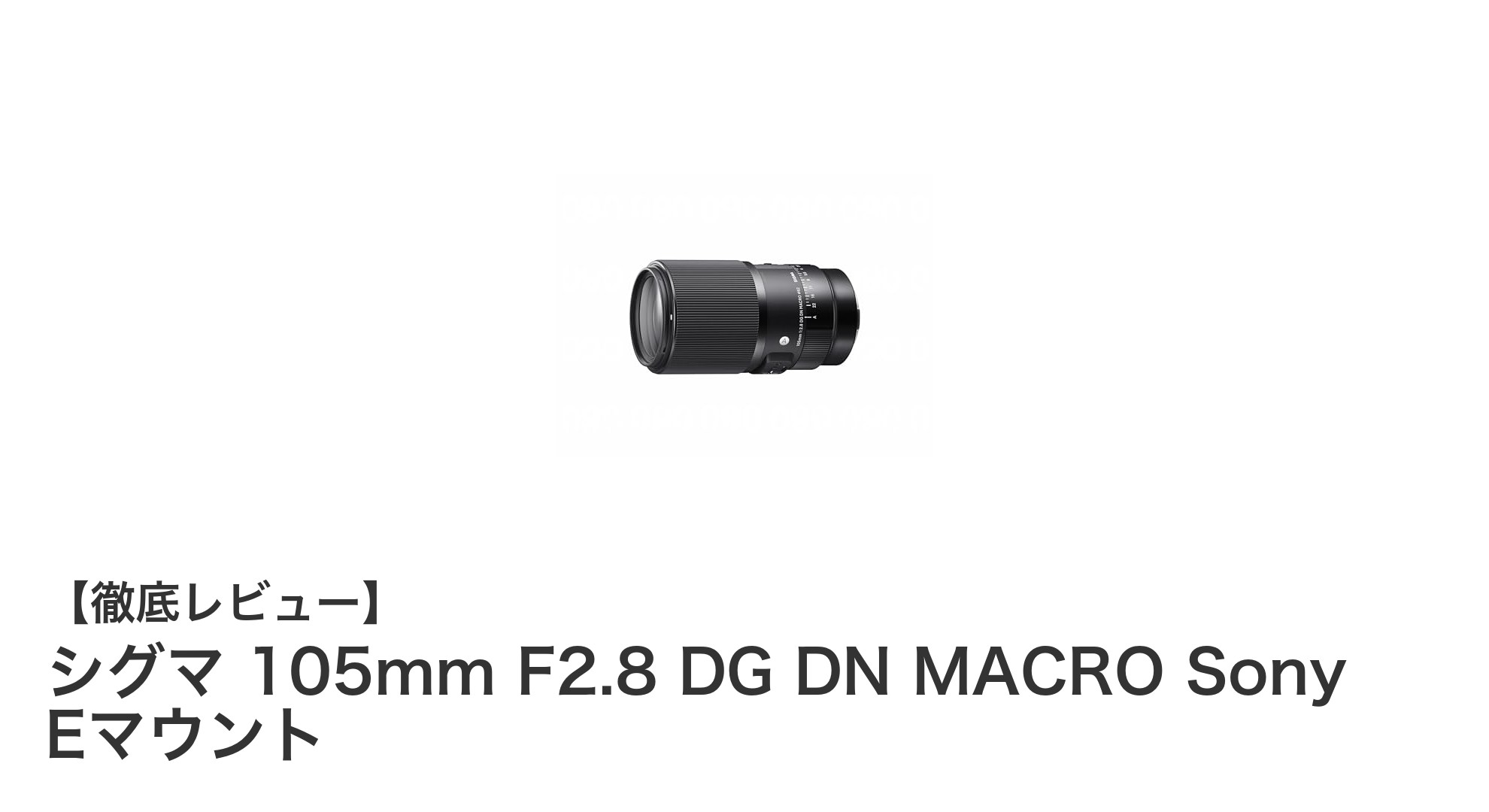 シグマ 105mm F2.8 DG DN MACROレビュー:Sony Eマウントで極めるマクロ撮影の新境地