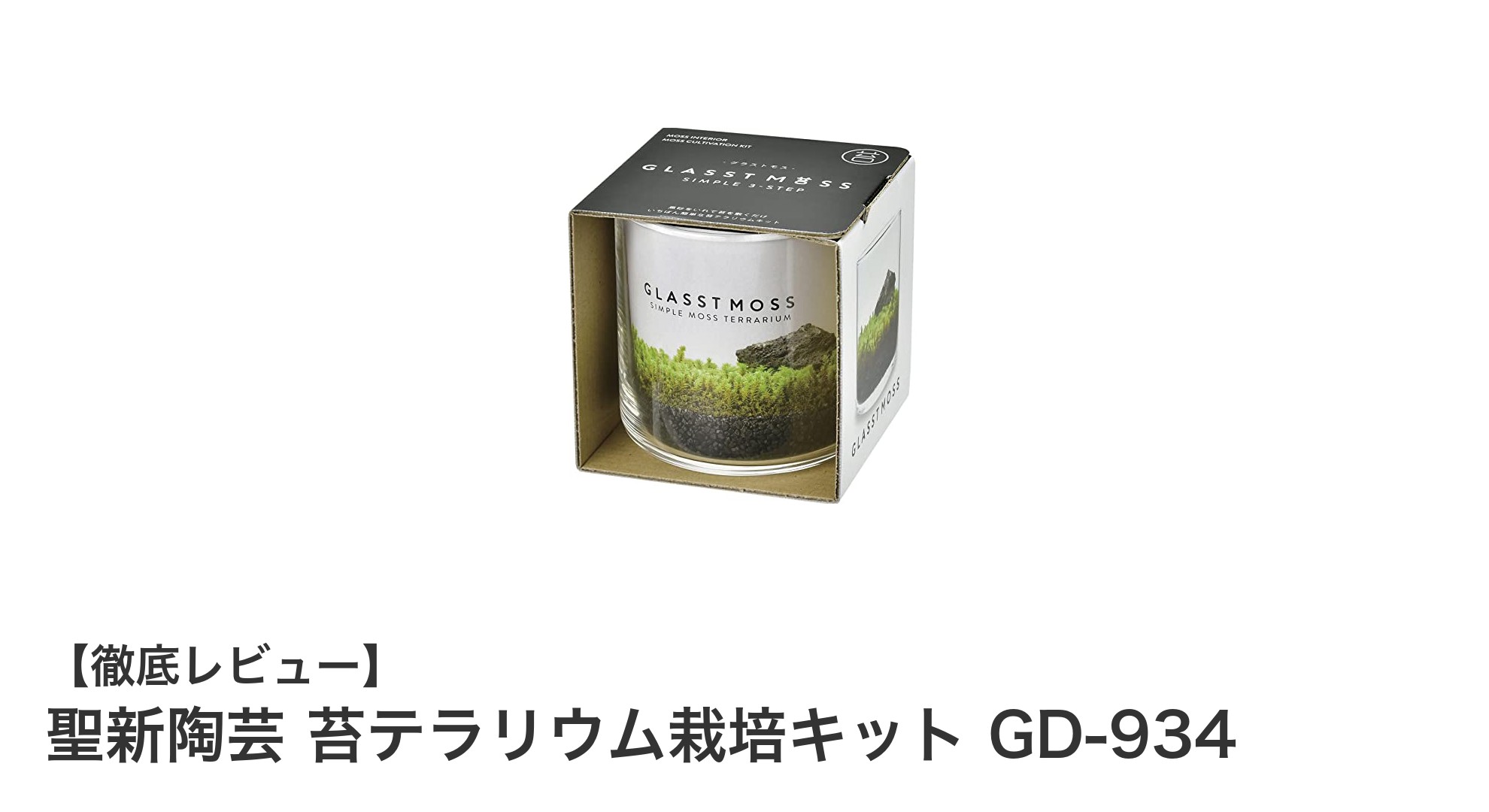 手軽に自然を楽しむ！聖新陶芸の苔テラリウム栽培キットGD-934の魅力とは？