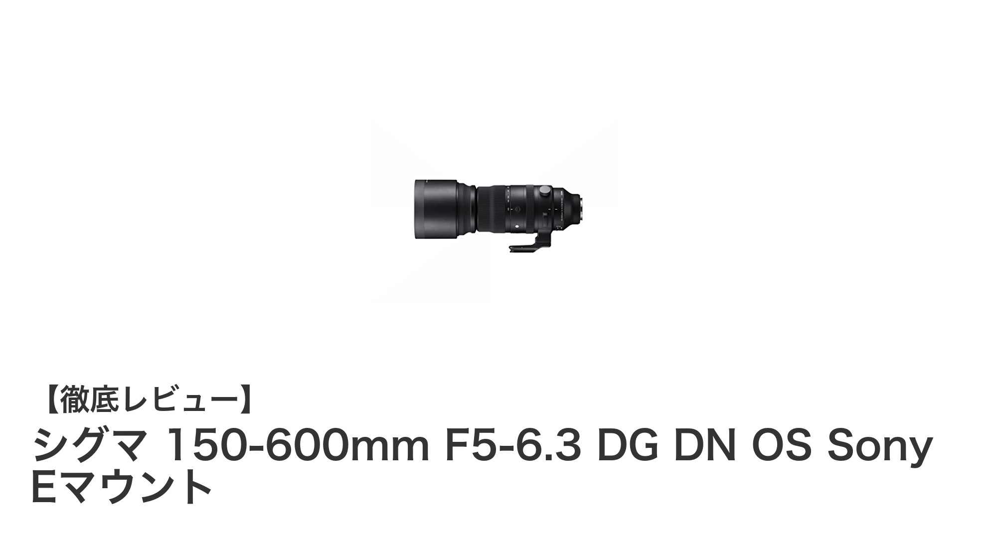 シグマ 150-600mm F5-6.3 DG DN OS Sony Eマウント:動体撮影に最適な超望遠ズームレンズの決定版