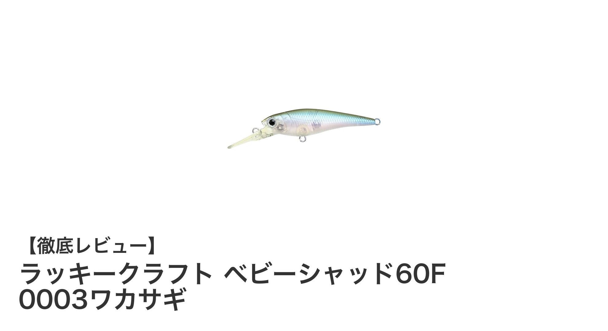 淡水釣りに最適!ラッキークラフトのベビーシャッド60Fで狙うワカサギパターン