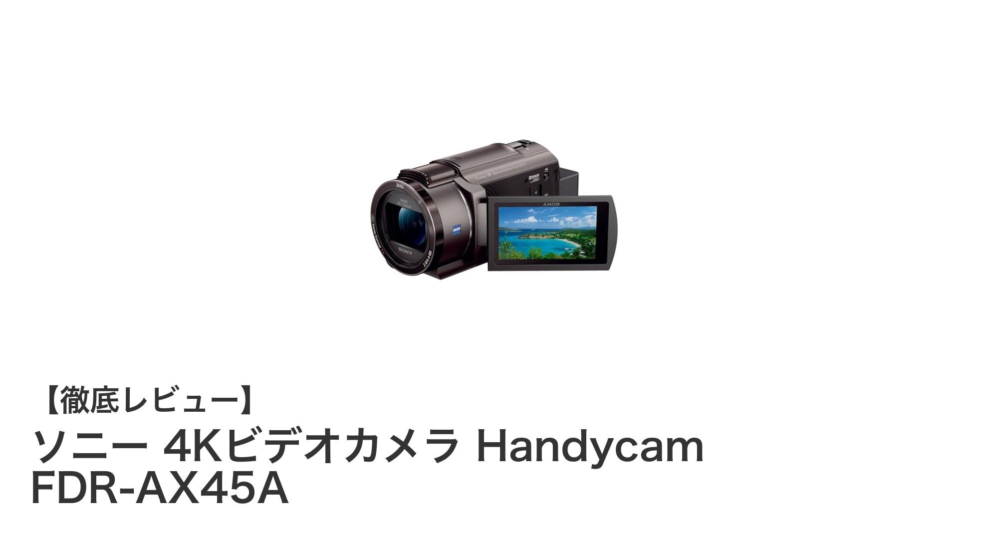 ソニー 4Kビデオカメラ Handycam FDR-AX45Aでプロ並みの映像体験を!