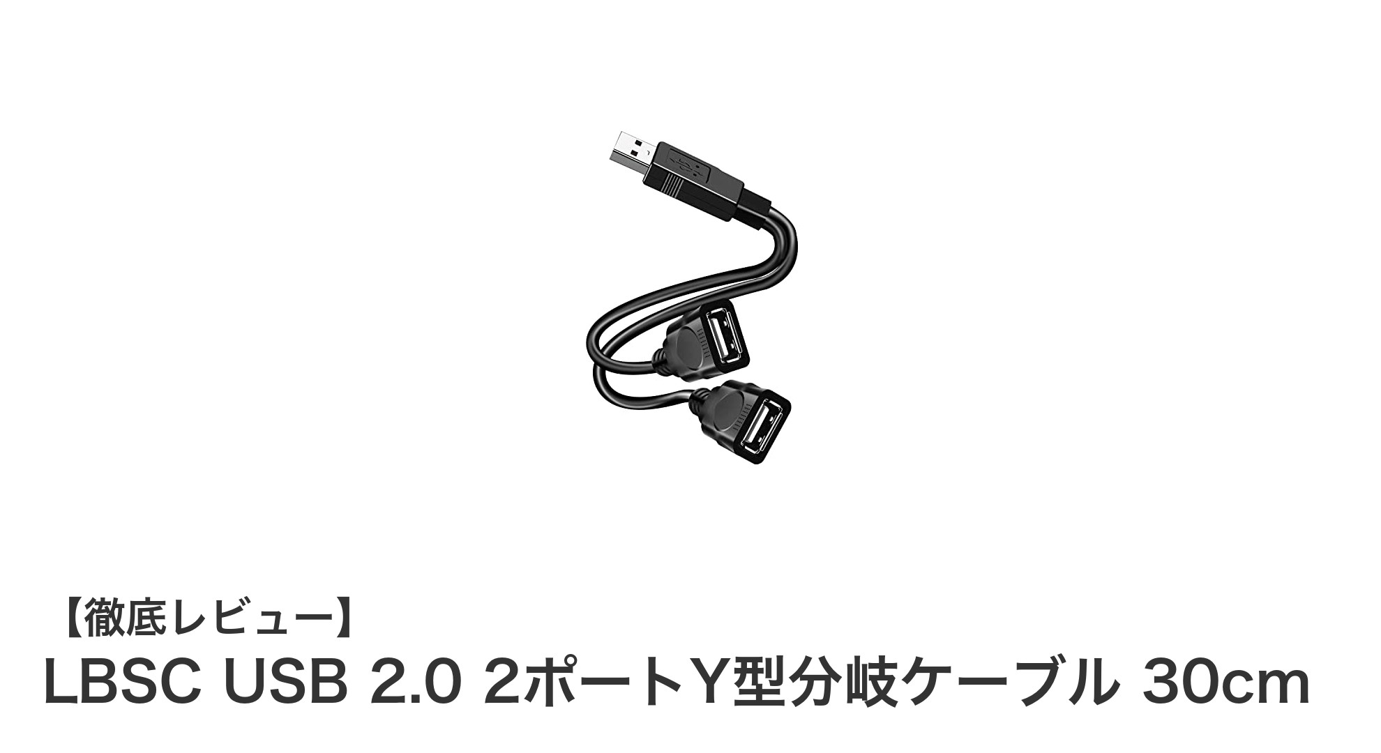 LBSC USB 2.0 2ポートY型分岐ケーブルで快適なデバイス接続を実現!