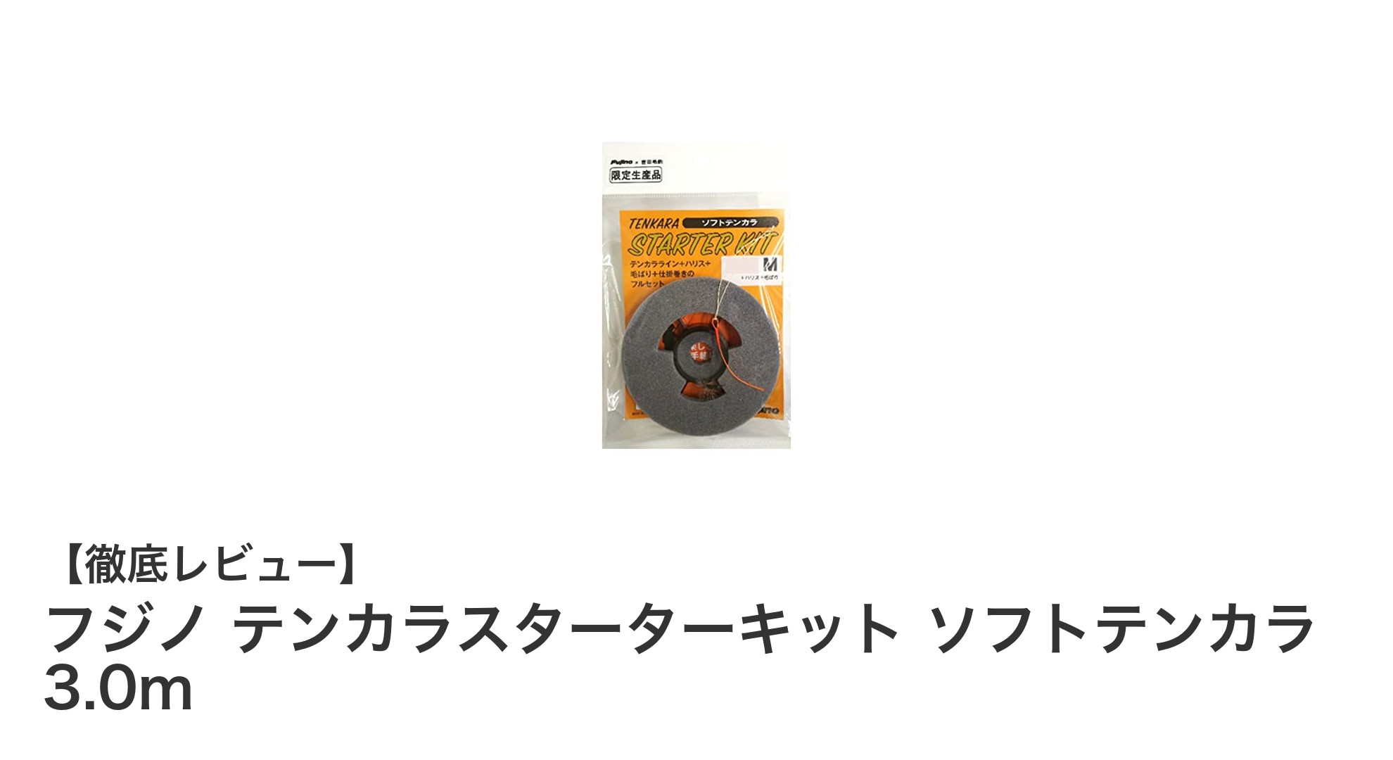 テンカラ入門に最適!フジノ テンカラスターターキット ソフトテンカラ 3.0mで簡単スタート