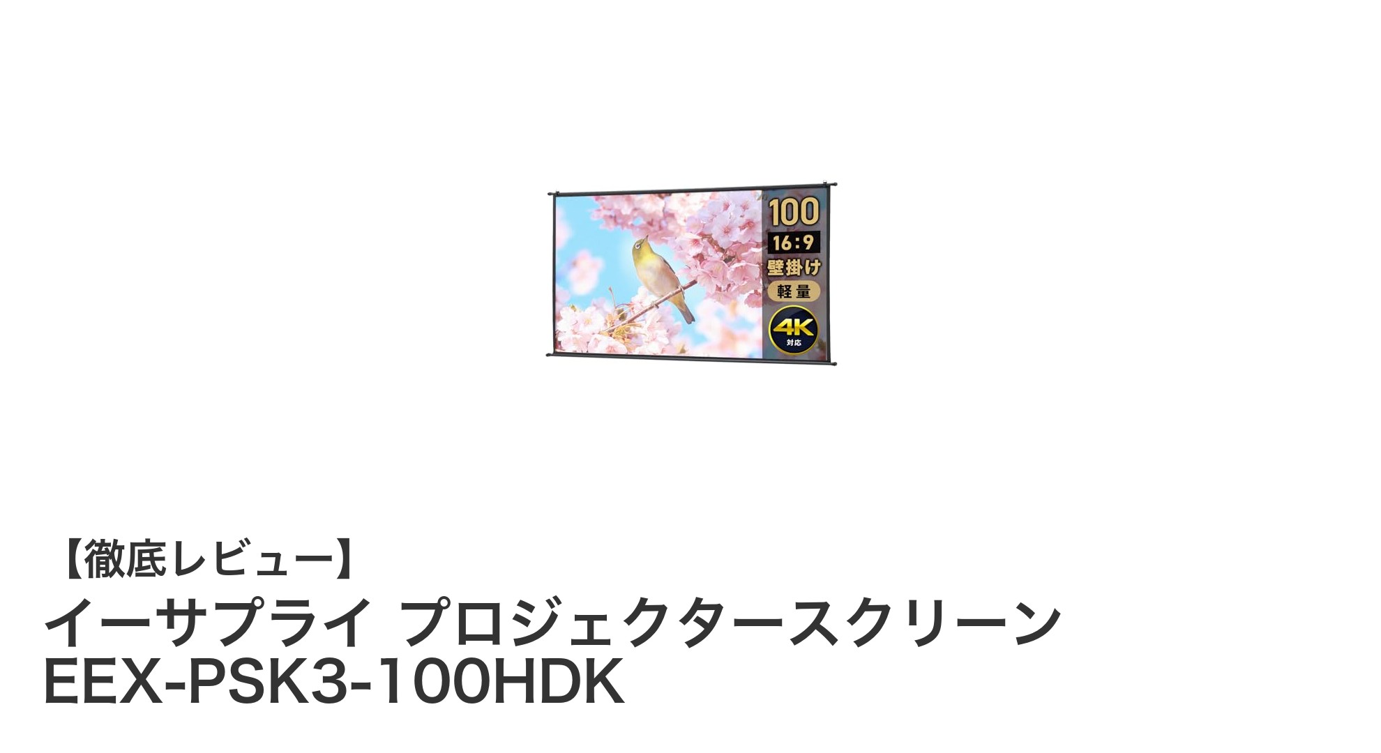イーサプライの軽量ロール式100インチプロジェクタースクリーンで映像体験を格上げ！
