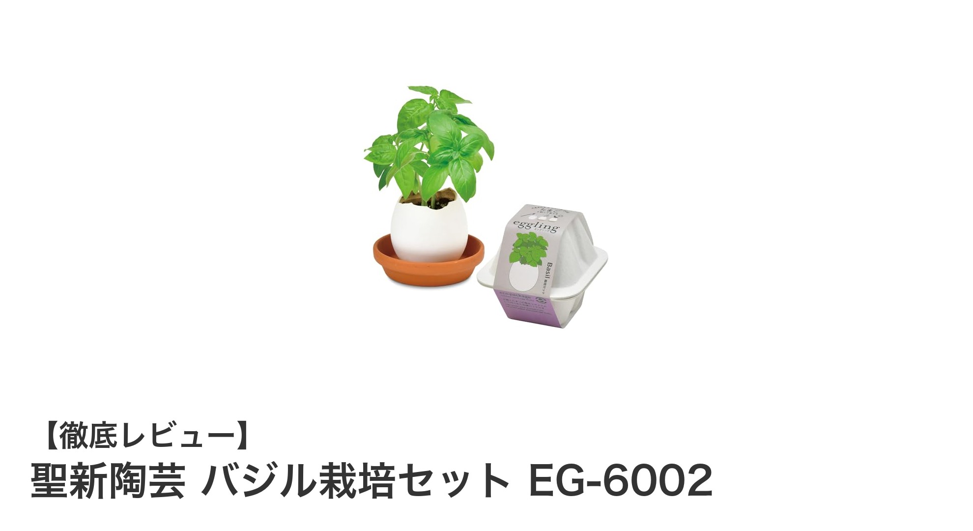 家庭で簡単!聖新陶芸のバジル栽培セットで新鮮ハーブを育てよう