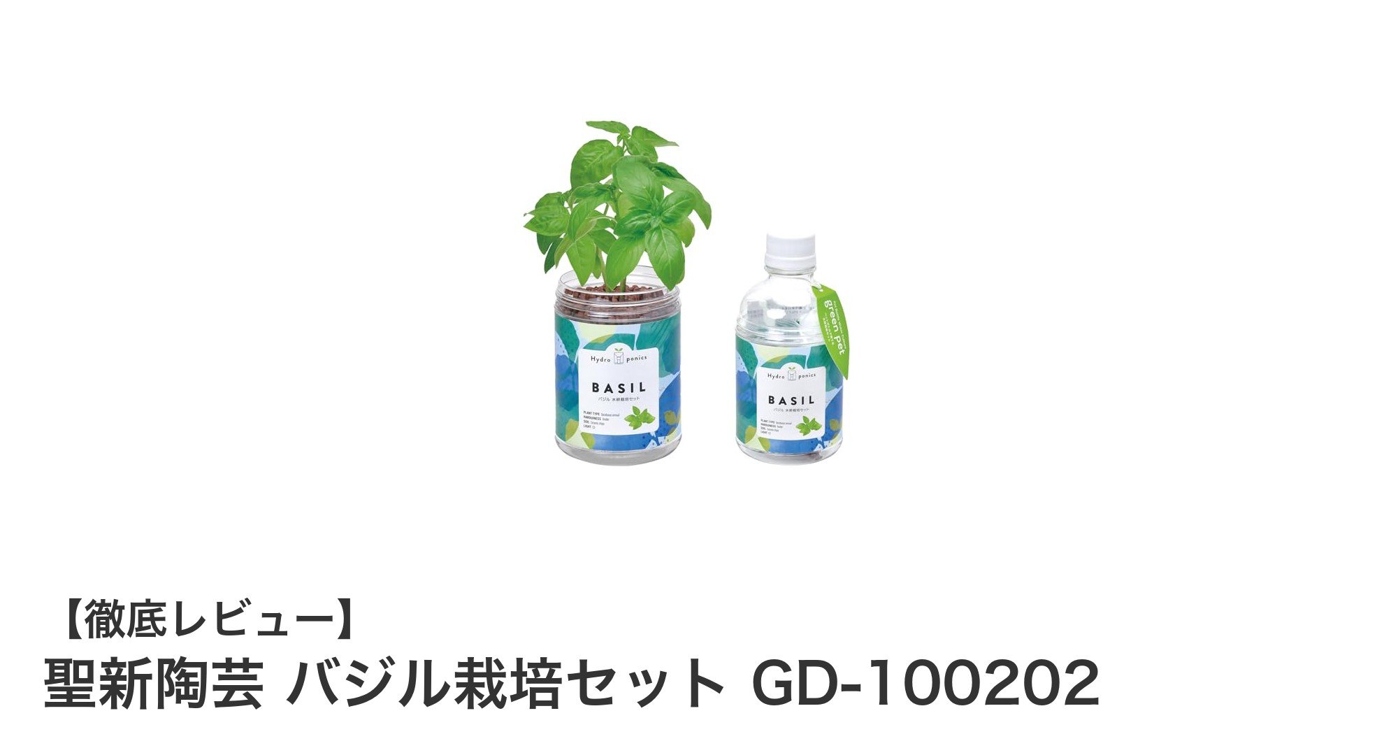 初心者でも簡単！聖新陶芸のペットボトル型バジル栽培セットで手軽にグリーンライフを楽しもう
