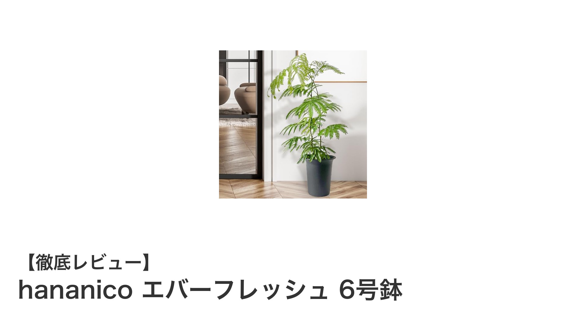 育てやすくて愛らしい！hananicoのエバーフレッシュ6号鉢で緑の癒しを手に入れよう