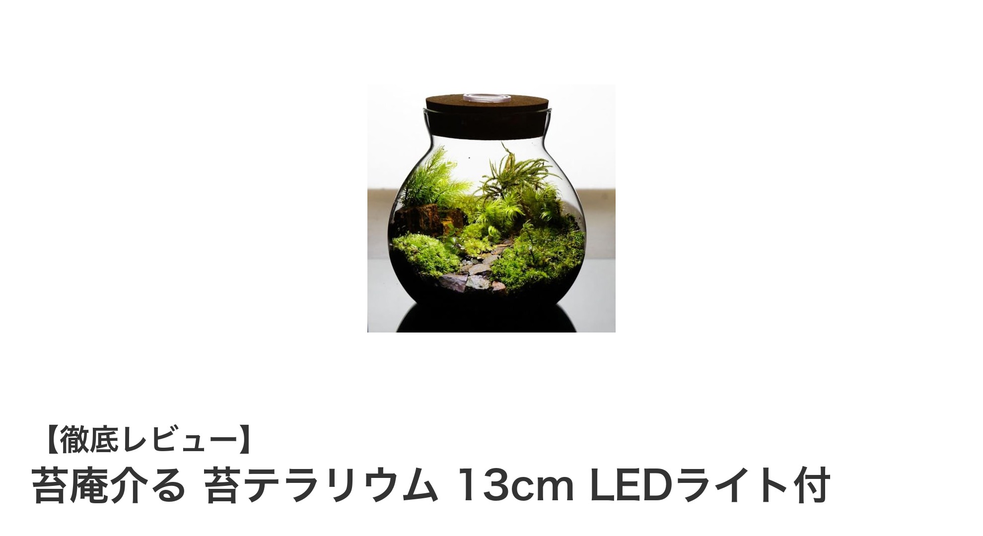 手軽に楽しむ癒しの苔テラリウム!LEDライト付き13cm苔庵介るセット