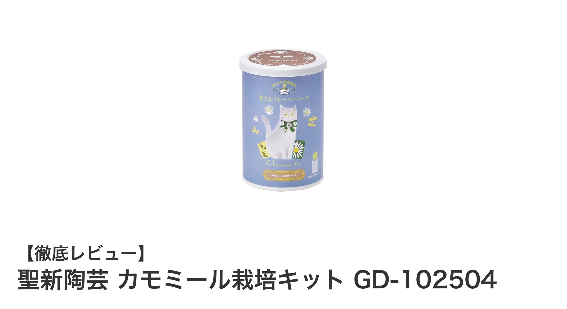 簡単&楽しい!聖新陶芸のカモミール栽培キットでハーブ育成デビュー