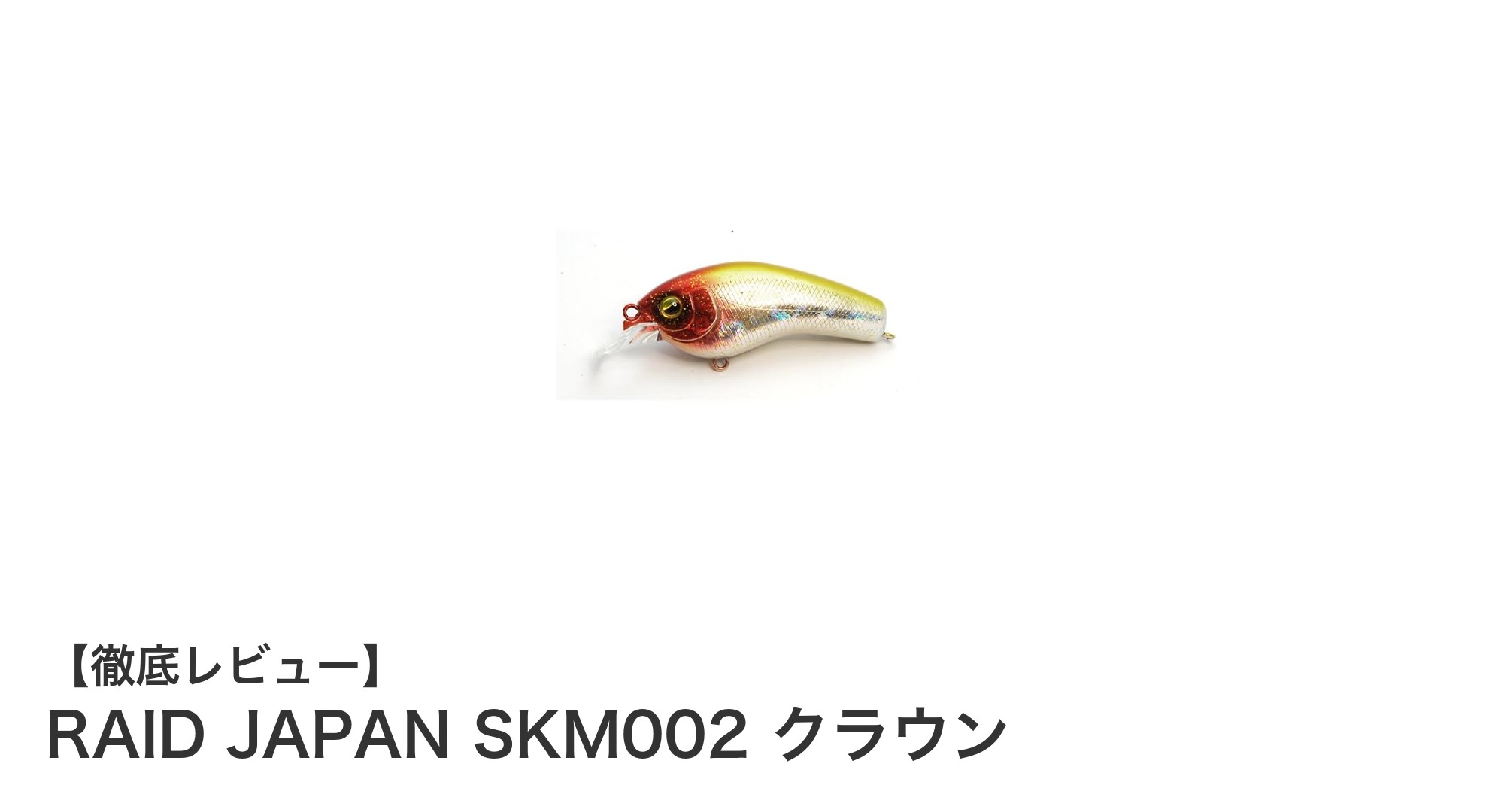 コンパクトサイズで驚異の直進性能！RAID JAPAN SKM002 クラウンの魅力とは？