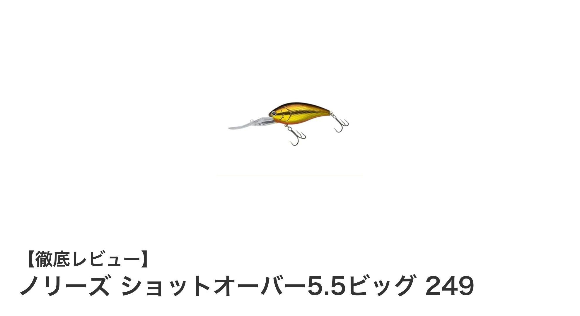 ノリーズ ショットオーバー5.5ビッグ 249で攻略！多彩な釣り場に対応する高性能ルアー