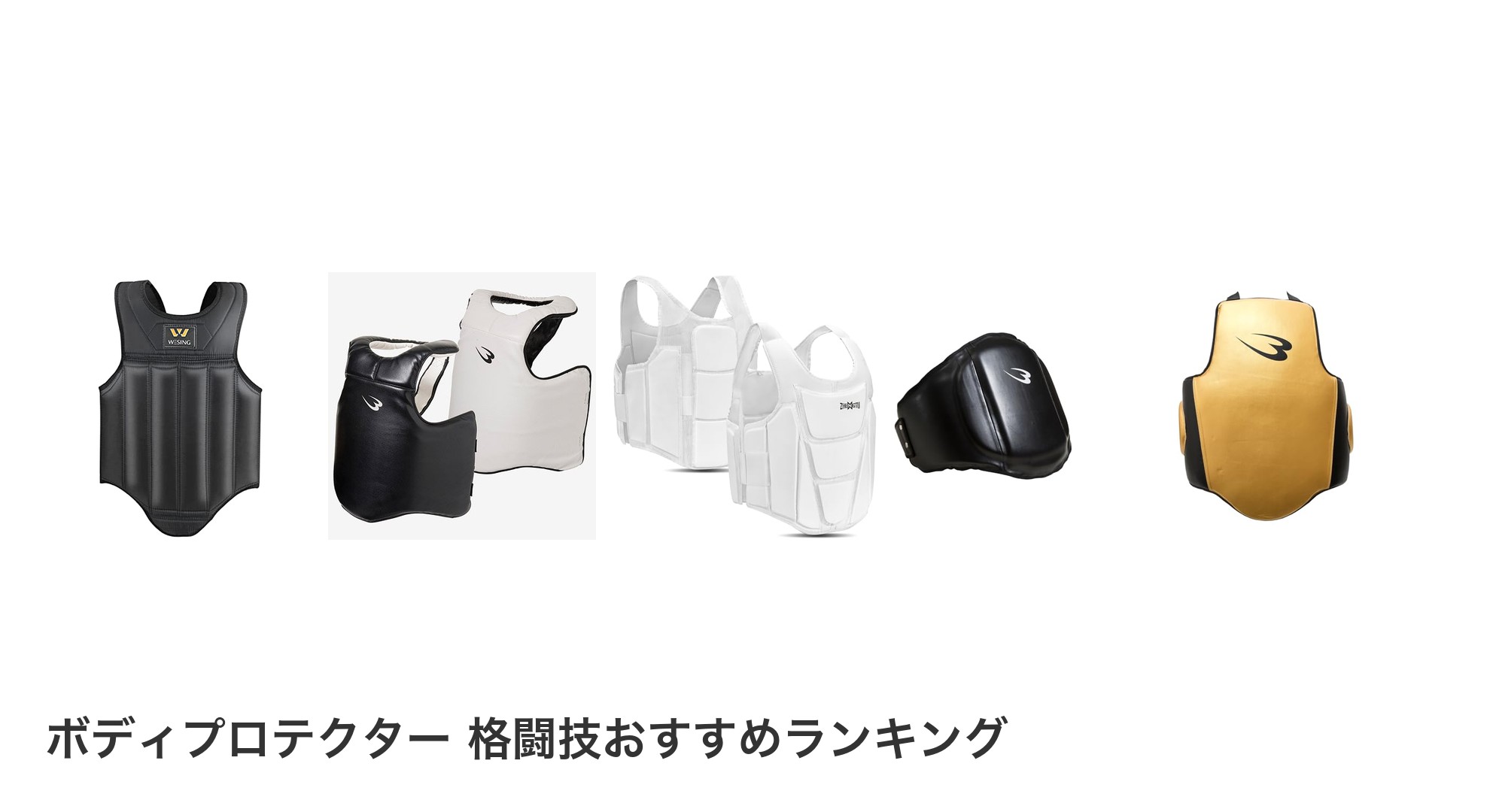 ボディプロテクター 格闘技のおすすめランキング