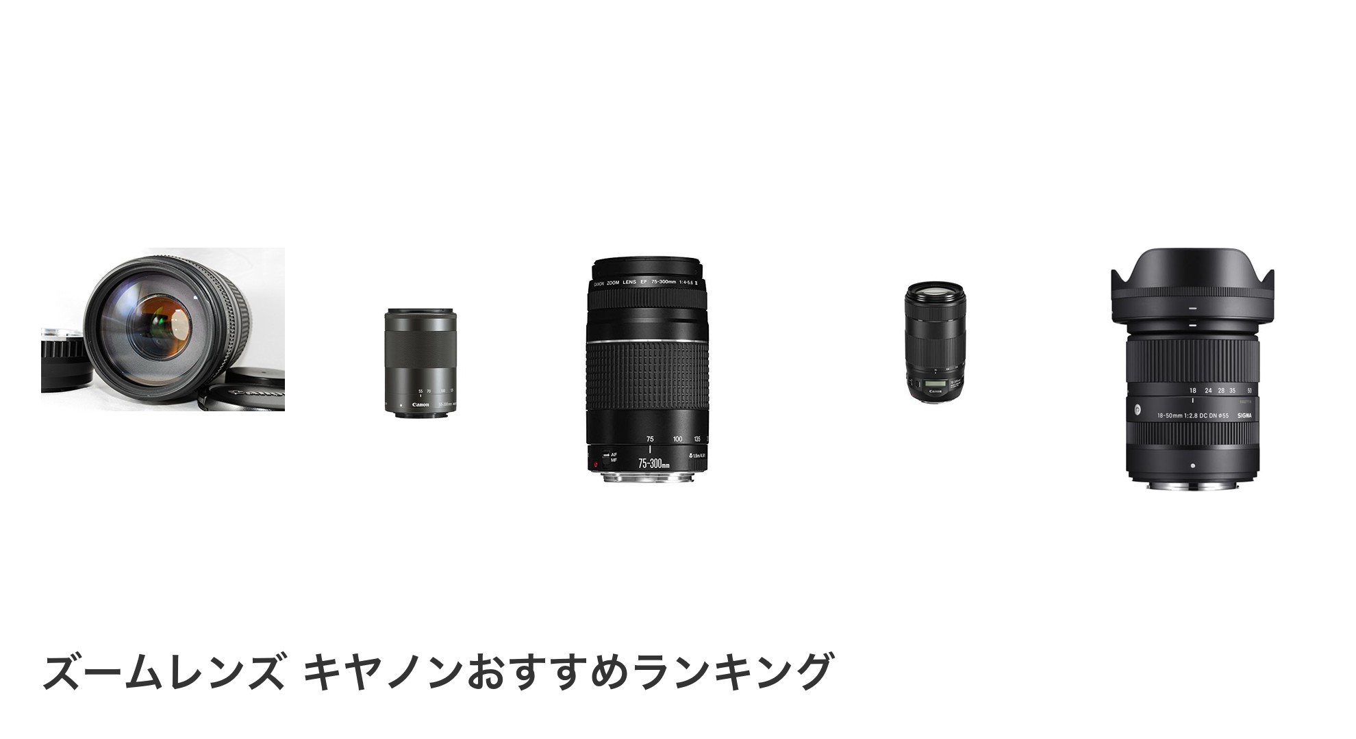 ズームレンズ キヤノンのおすすめランキング