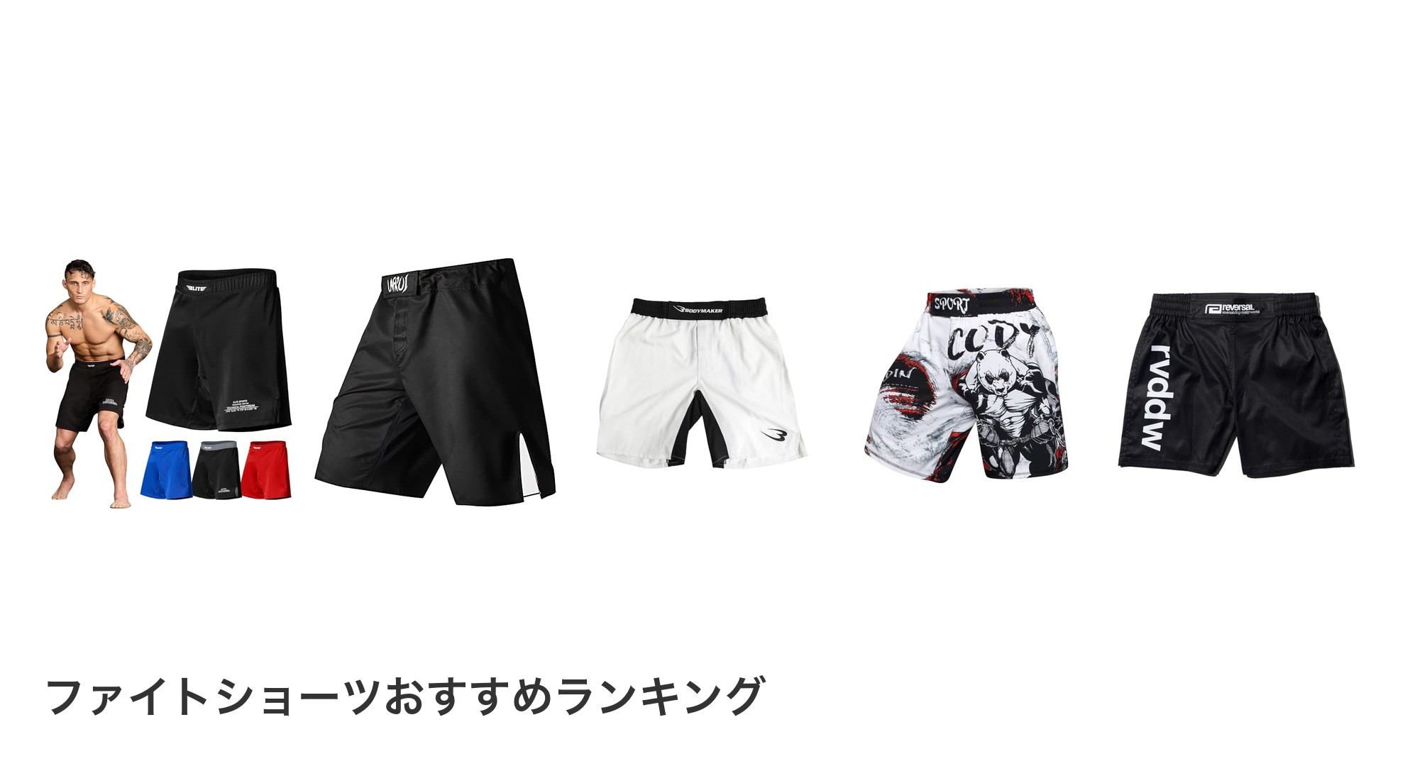ファイトショーツのおすすめランキング