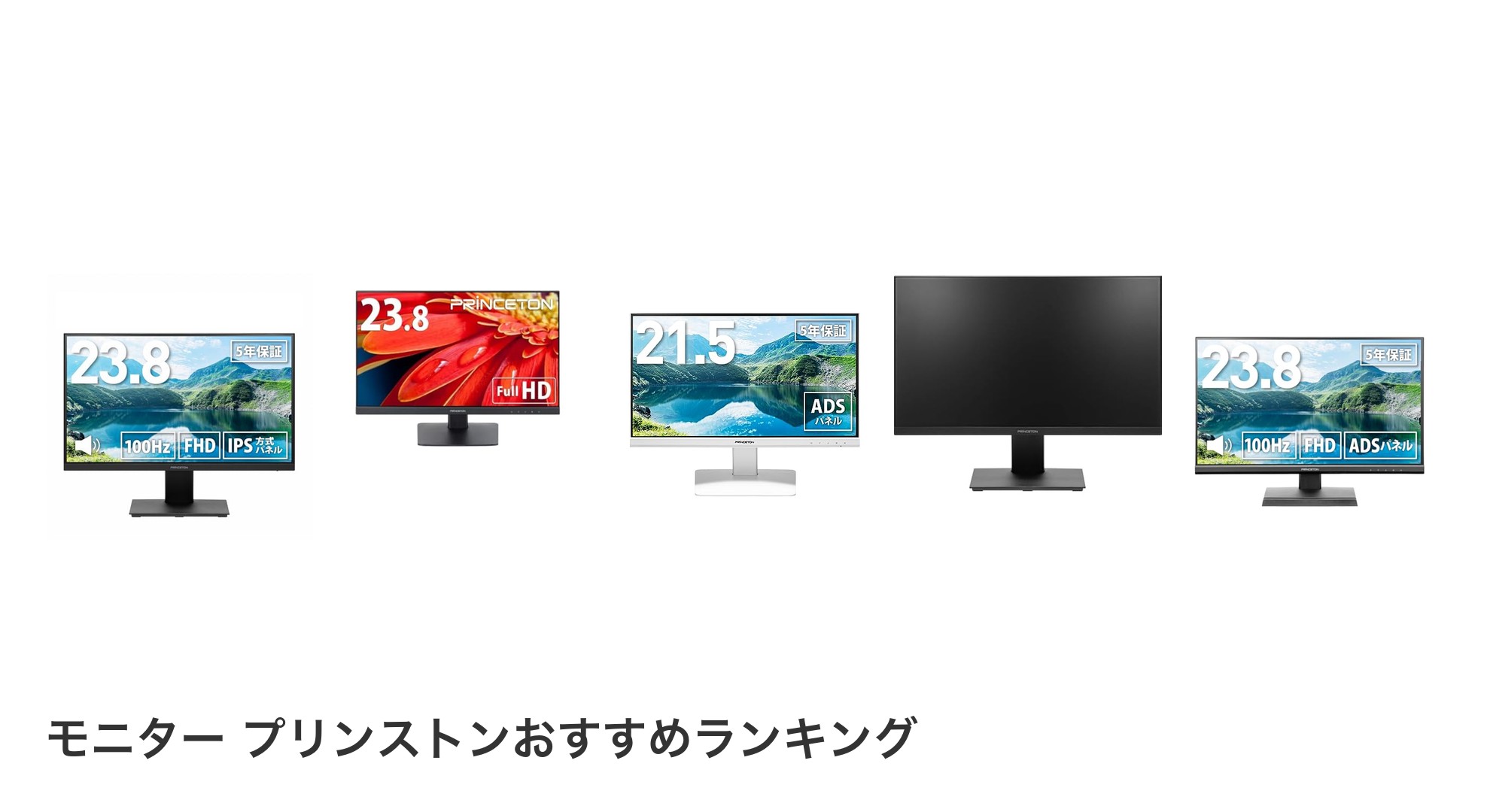 モニター プリンストンのおすすめランキング