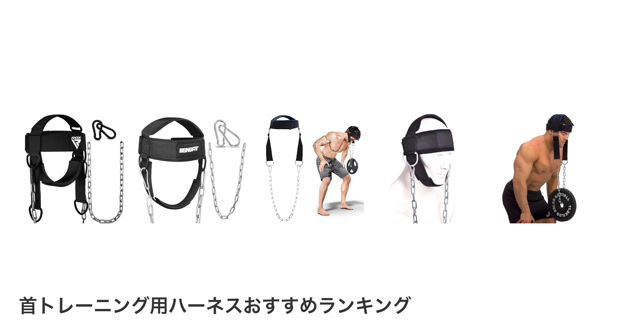 首トレーニング用ハーネスのおすすめランキング