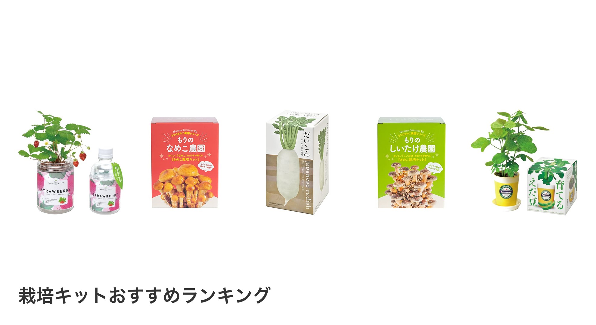 栽培キットのおすすめランキング