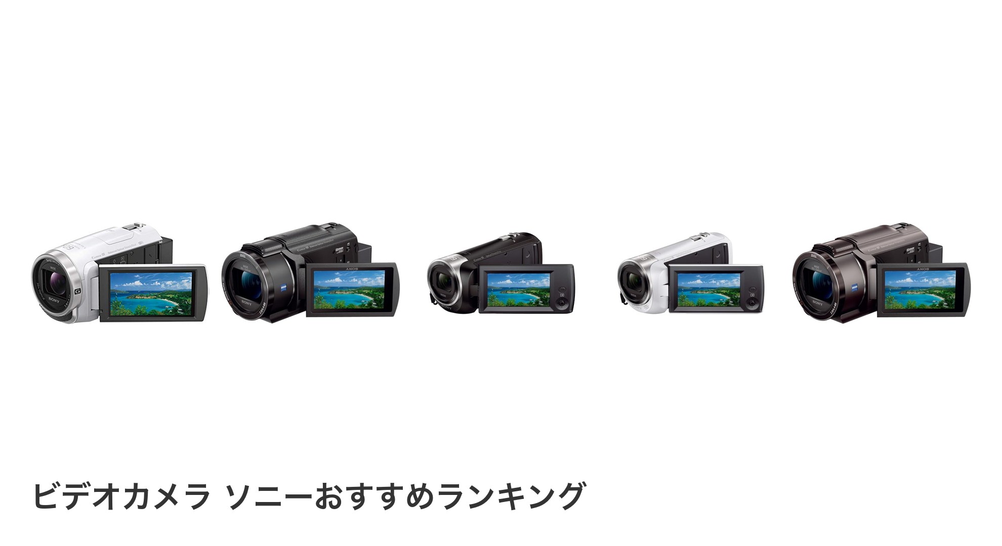 ビデオカメラ ソニーのおすすめランキング