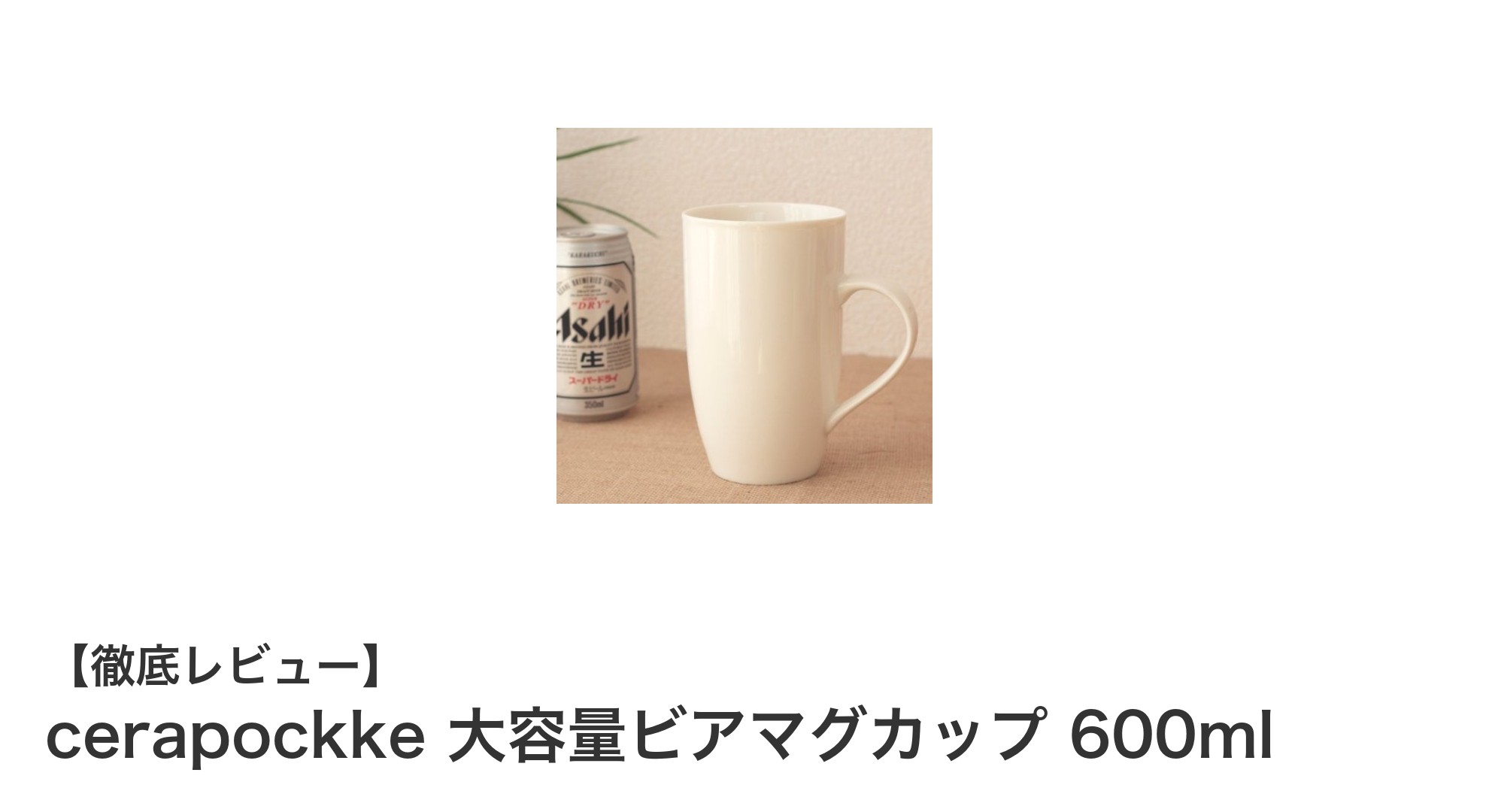 大容量600ml！cerapockkeのビアマグカップで贅沢なひとときを楽しもう
