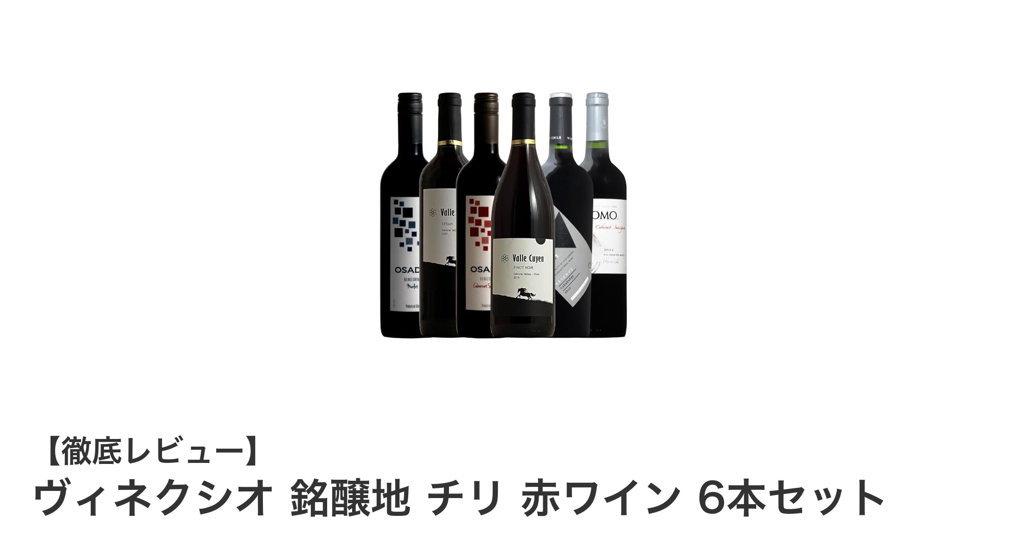 チリの銘醸地から厳選！ヴィネクシオ赤ワイン6本セットで特別なひとときを