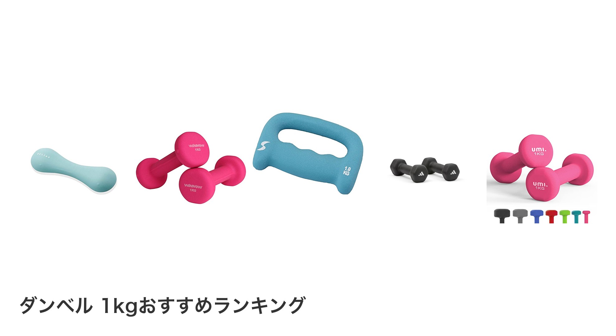 ダンベル 1kgのおすすめランキング